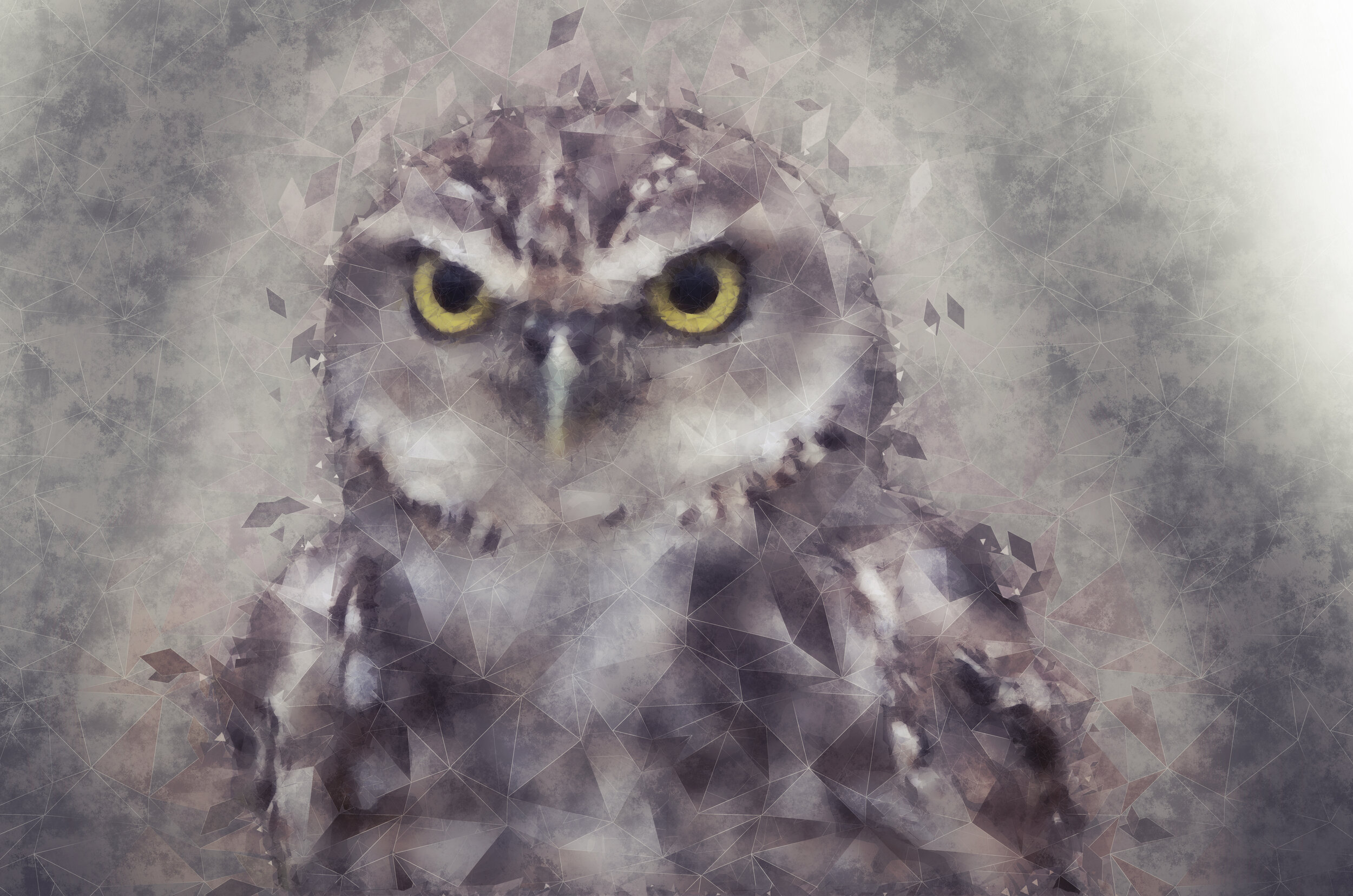 Artistic depiction of an owl with geometric patterns