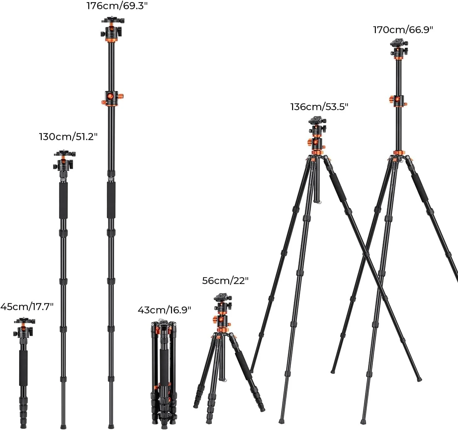 I need a tripod that will hold my camera