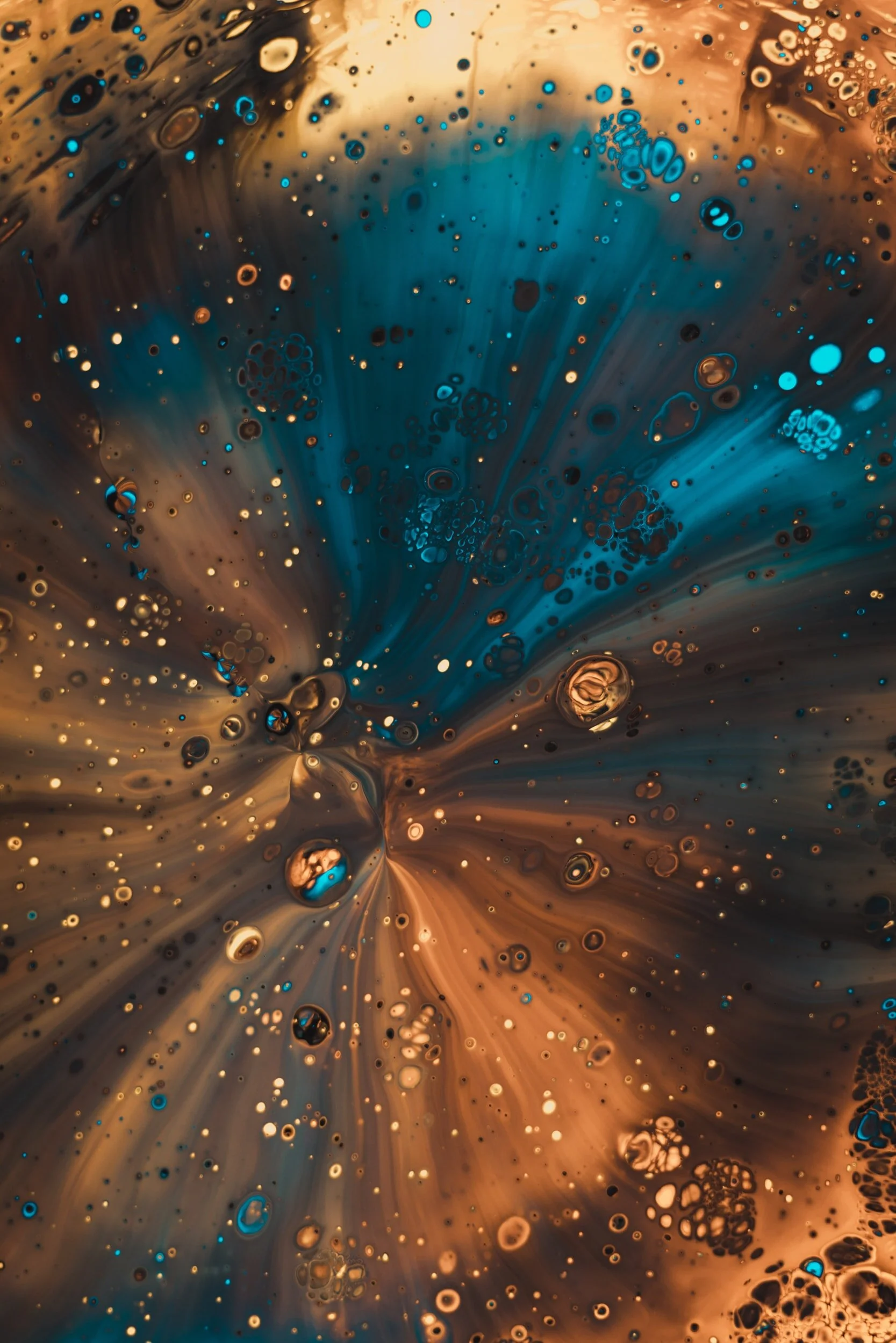 Wellgevity Gut Supplement Bundle