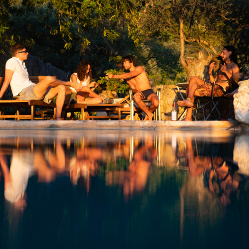 Square - WELLGEVITY.png