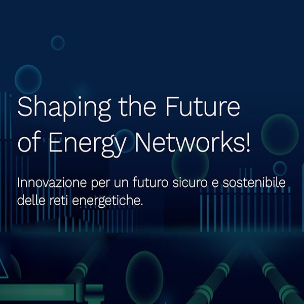 Shaping the Future of Energy Networks!