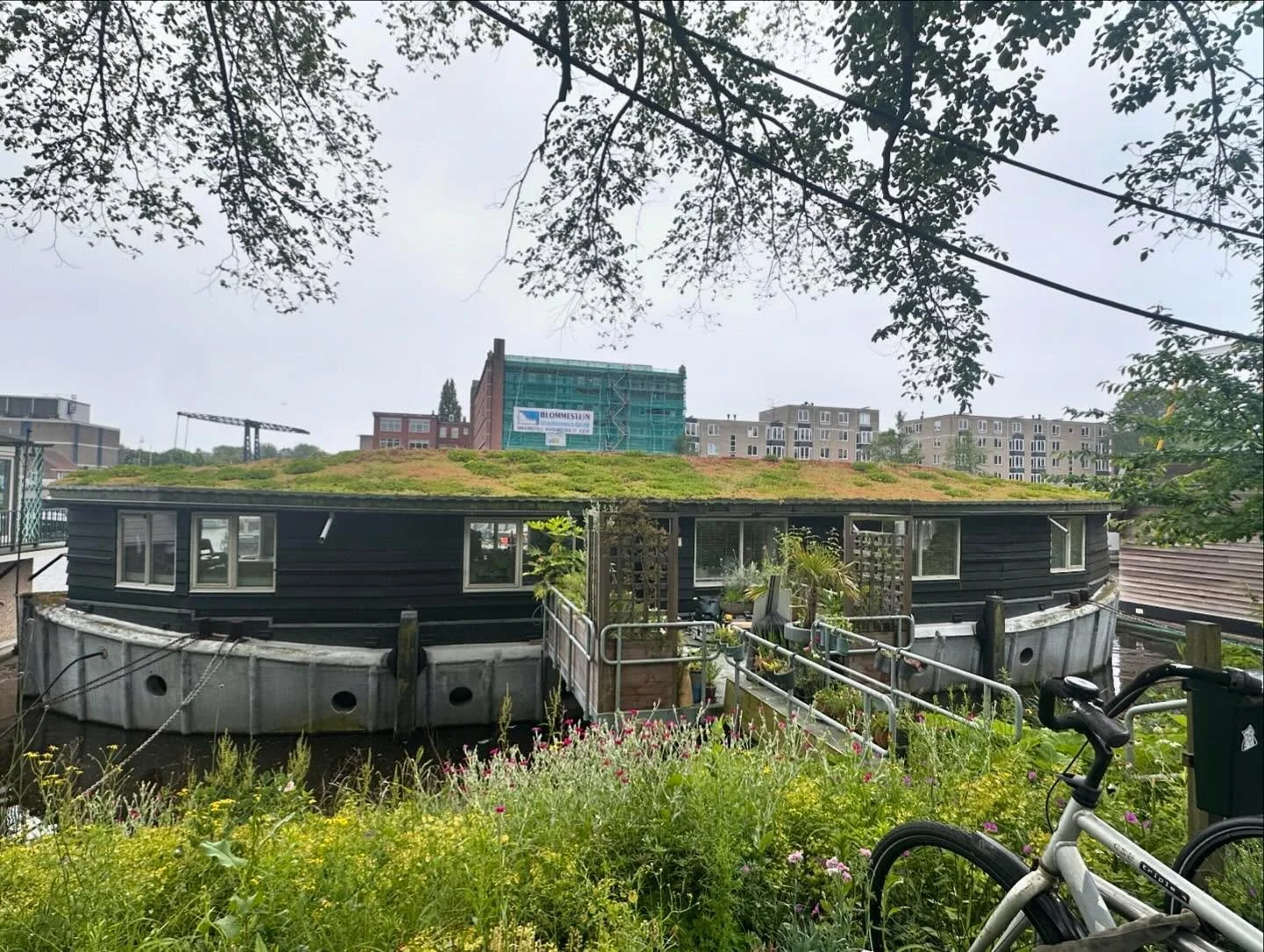 Water / planting

Well Amsterdam has some of the greenest streets I have seen in a city. 

This urban landscape has everything, green walls, green roofs, footpath planting and waterside floating gardens. 

If there is a pot on the ground then it has 