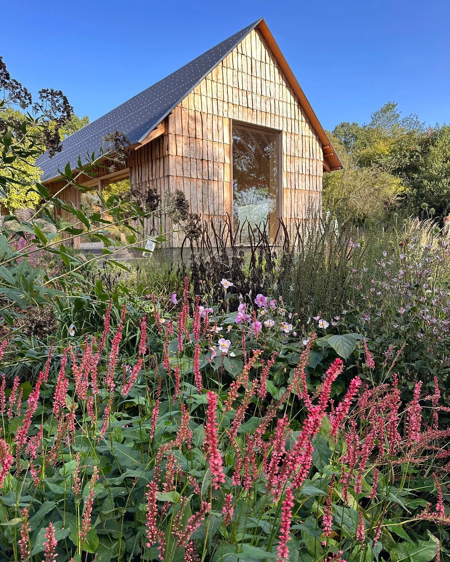 An amazing trip to see the Serge Hill Project for Gardening, Creativity and Health designed by tomstuartsmith &amp; @suestuartsmith. 

The barn garden was great to finally see from toms 2006 Chelsea garden with the Cotten steel toughs looking beautif