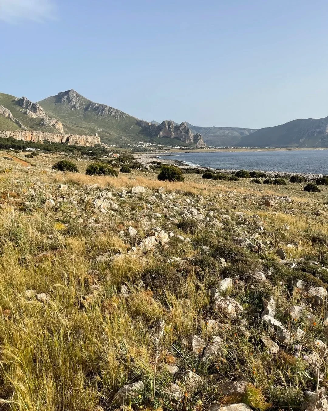 Today has been a day that has been in my diary for a while.

A classroom day at the @londoncollegegardendesign with todays tutor Nigel dunnet.

Looking at his past projects we learnt how to develop a planting schemes for a naturalistic approach. The 