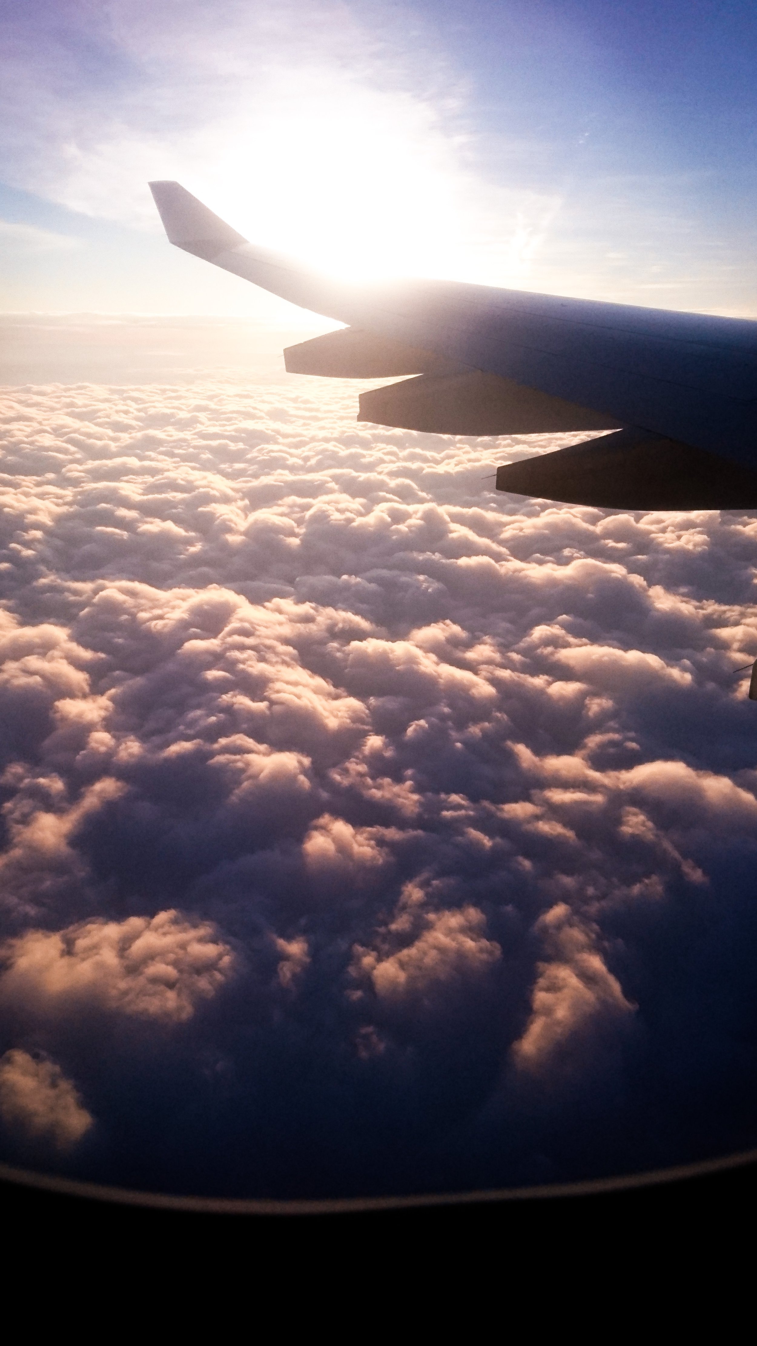 DSC_0017.jpg