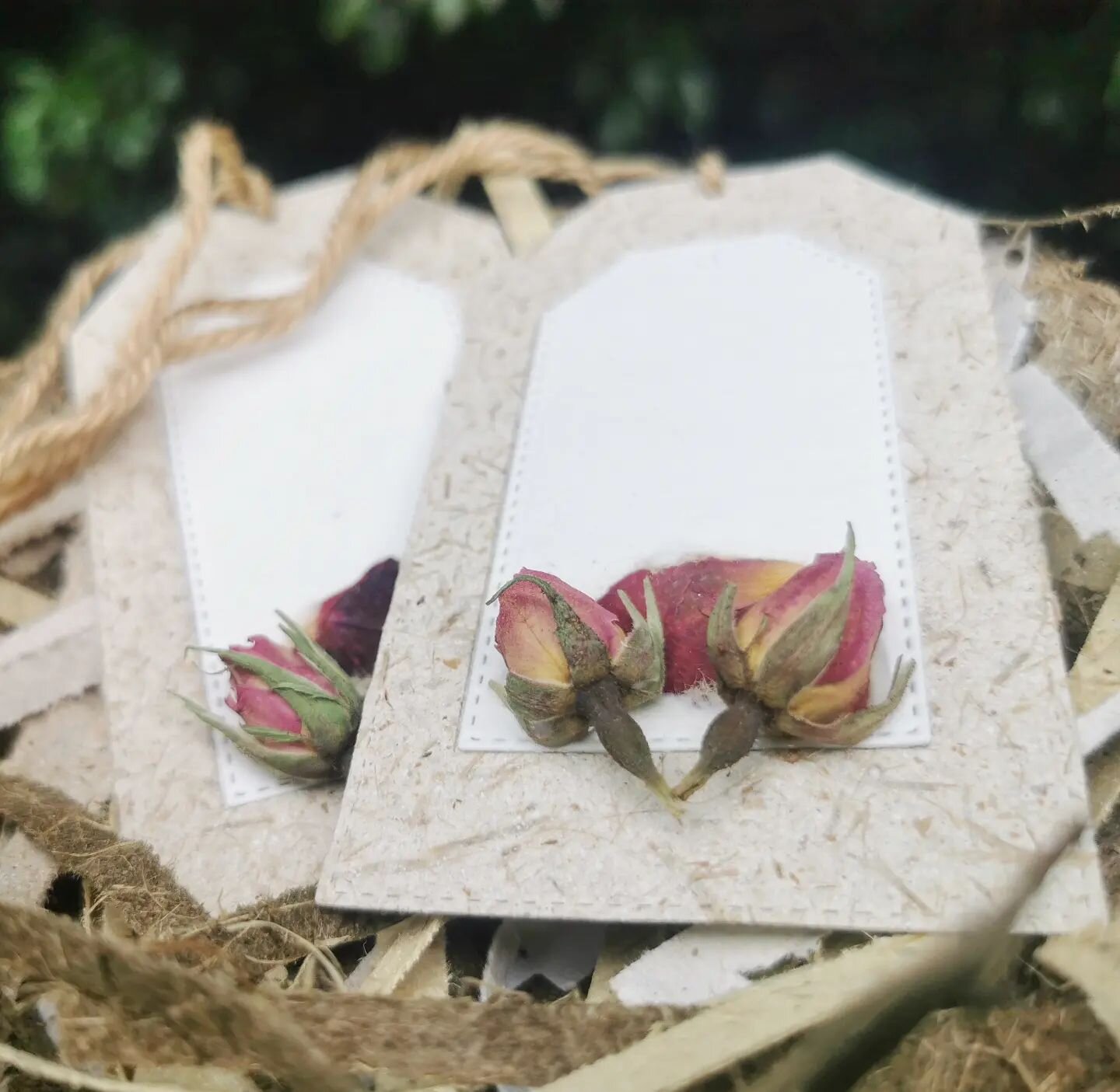 A couple of Rose Oversized Floral Tags heading to their new home! These are new products that have helped me start developing my small batch, plant-based-waste collections. Looking forward to showing you more...
100% recycled: plant fibre paper from 