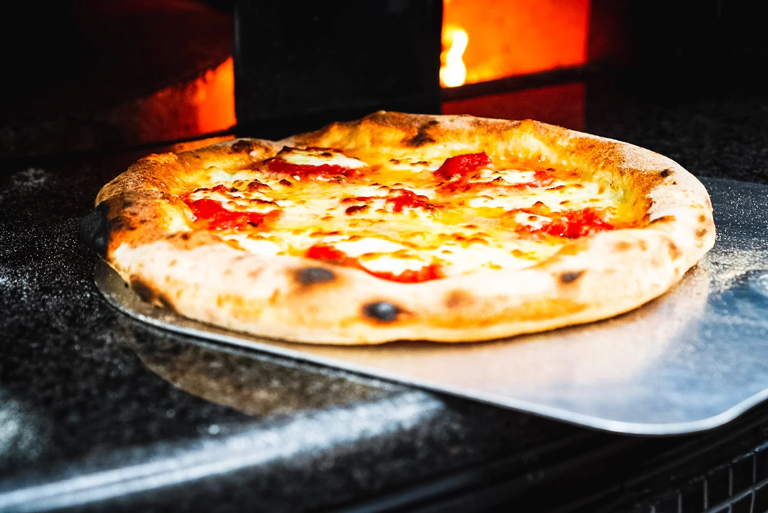 Photos — Frankie Slice