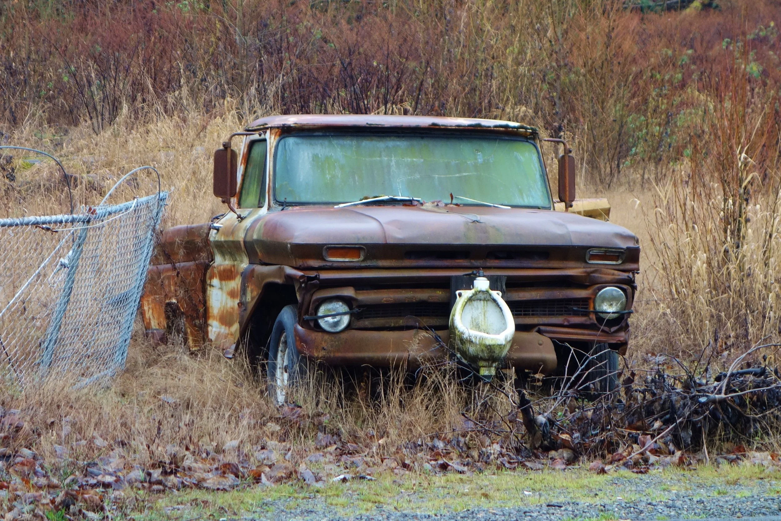 Urine Mileage May Vary