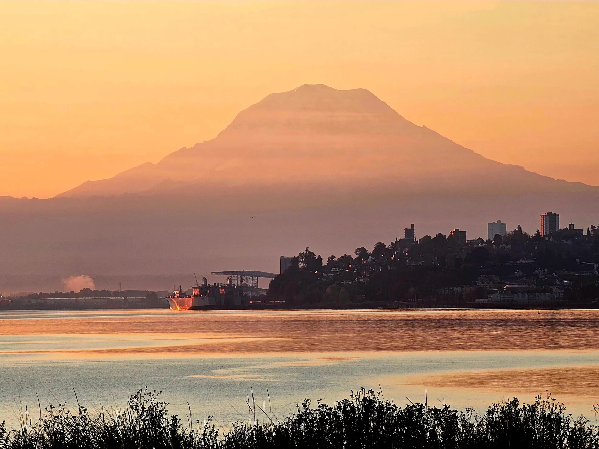 A "Dune-Like" look for Mt. Rainier - Early Morning, Ruston, WA