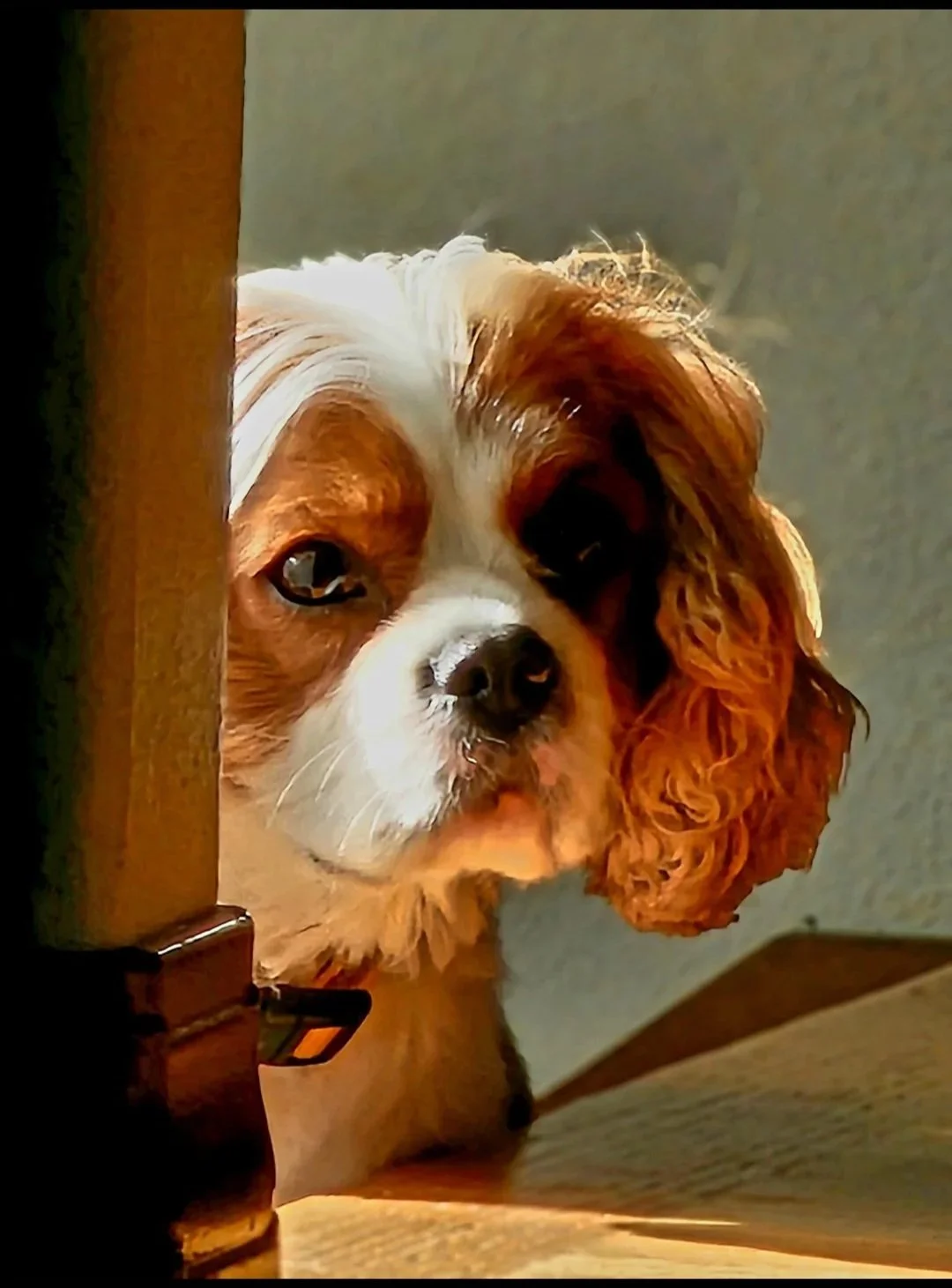 Henry - Our Little Vermeer