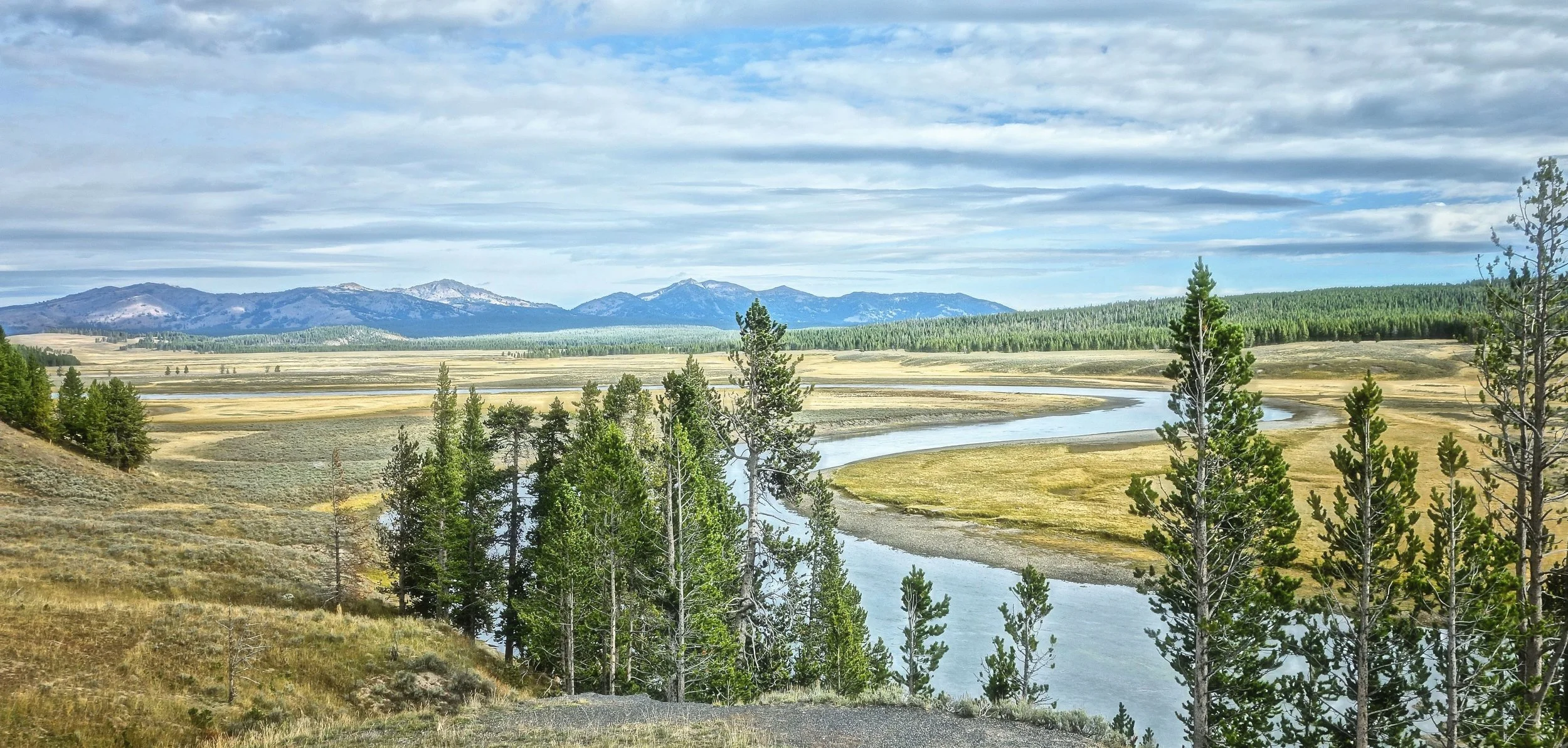 Hayden Valley - Yellowstone National Park