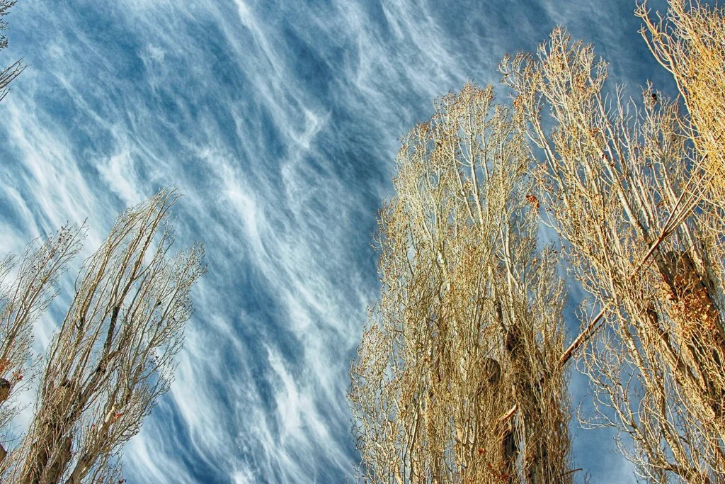 Curious Attraction - Redmond, Oregon