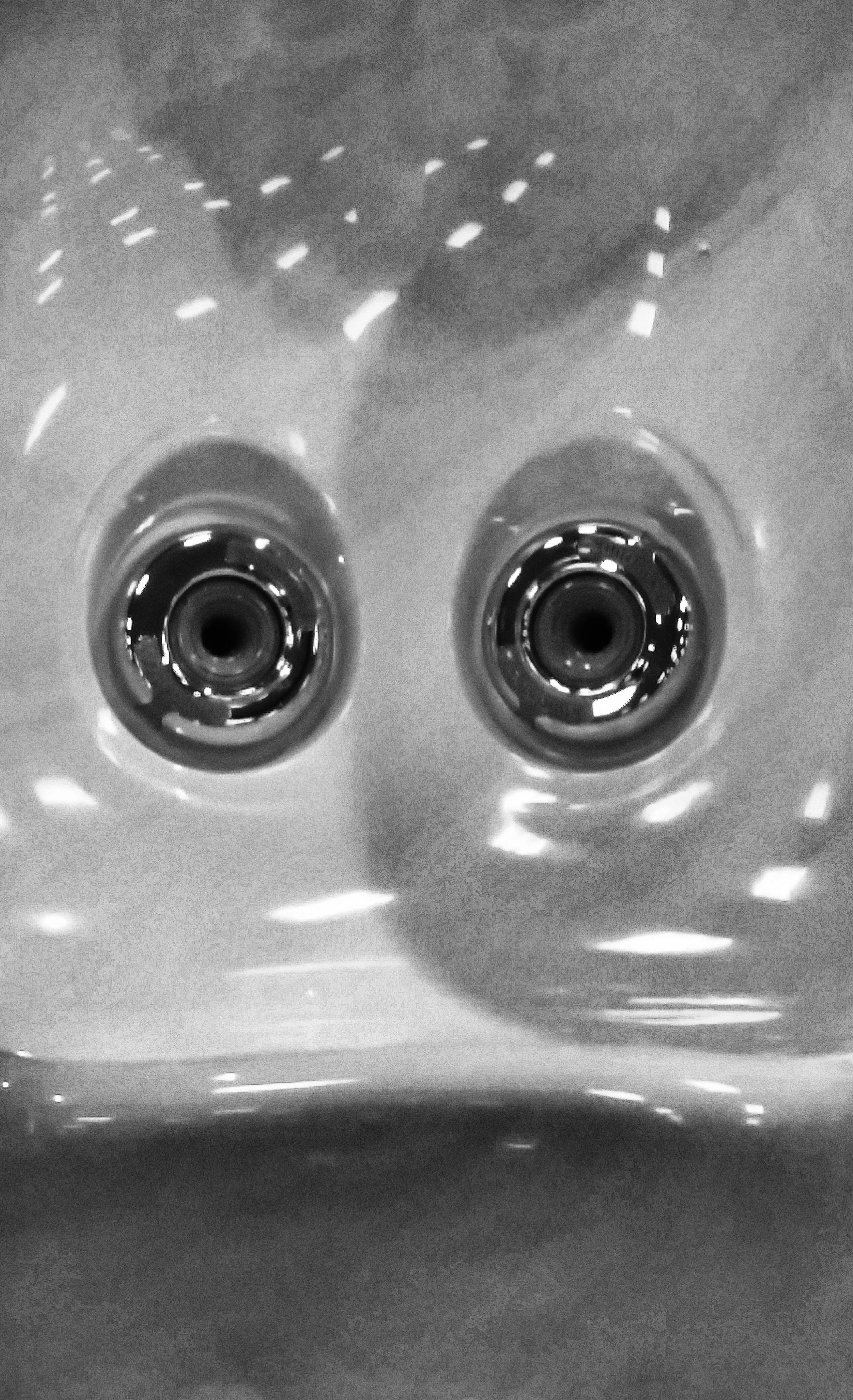 Startled Duck, in Hot Tub - Trade Show, Seattle