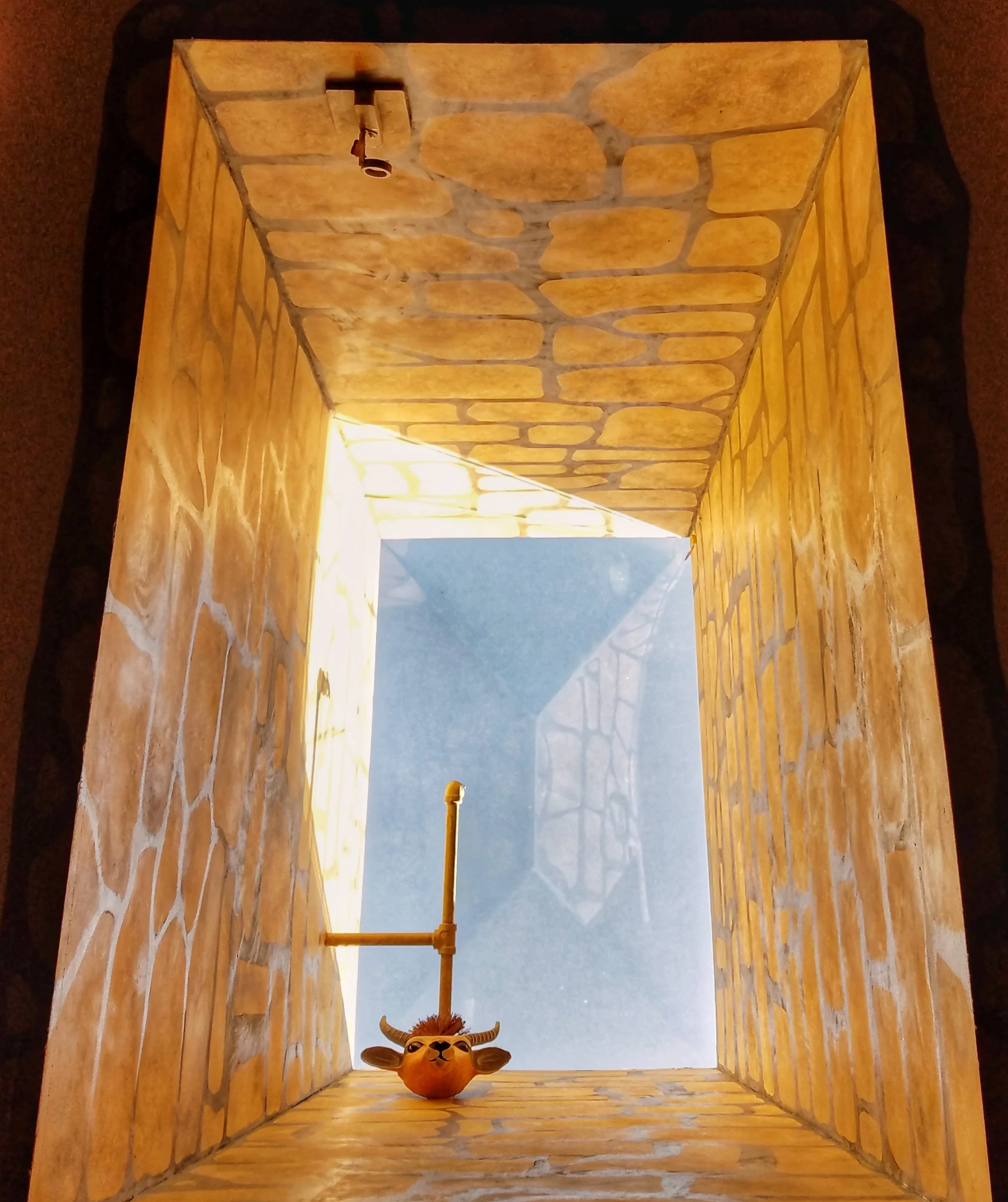 Surveilling Skylight Cow - Malibu, CA