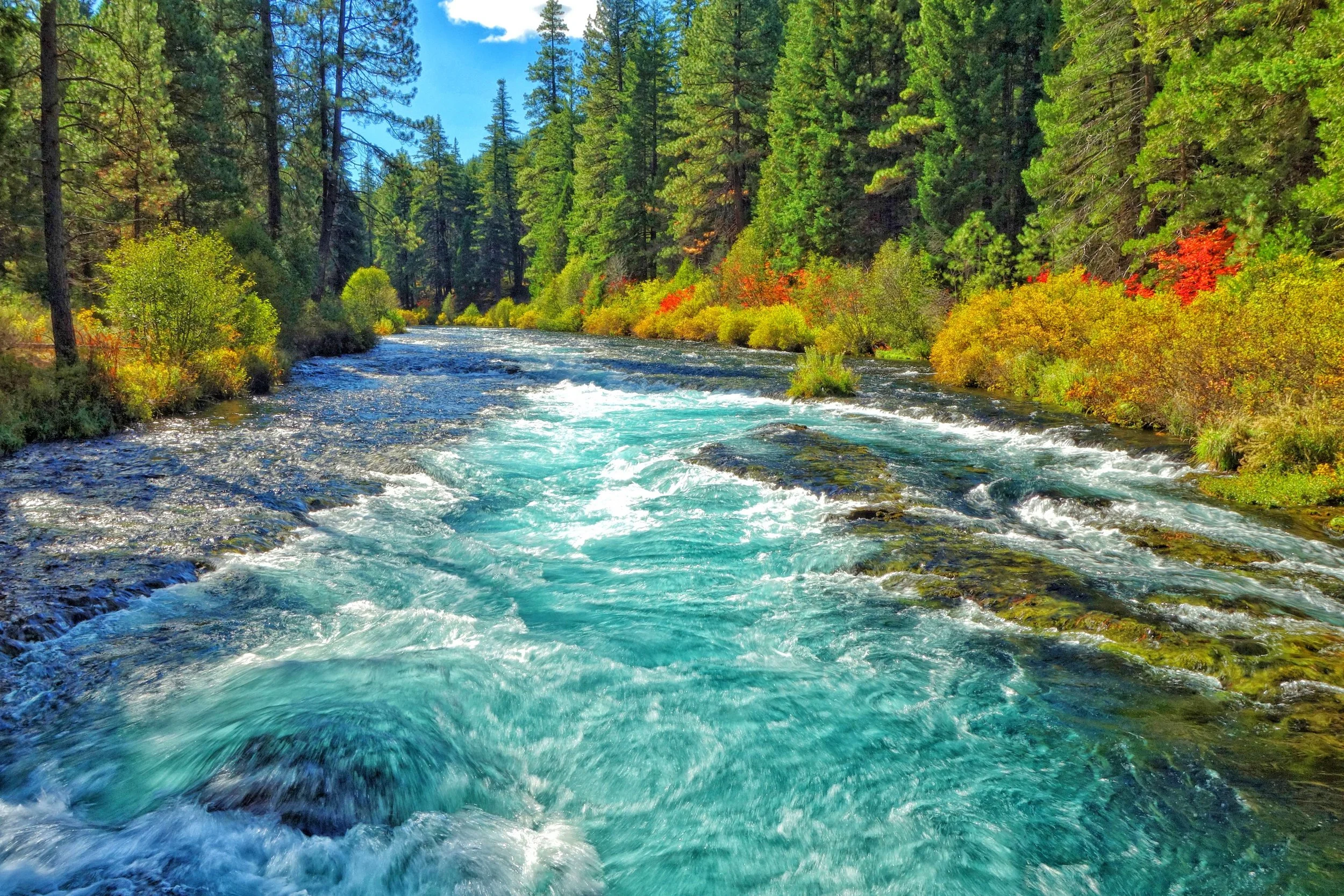 Wizard Falls, Metolius River, Near Sisters Oregon