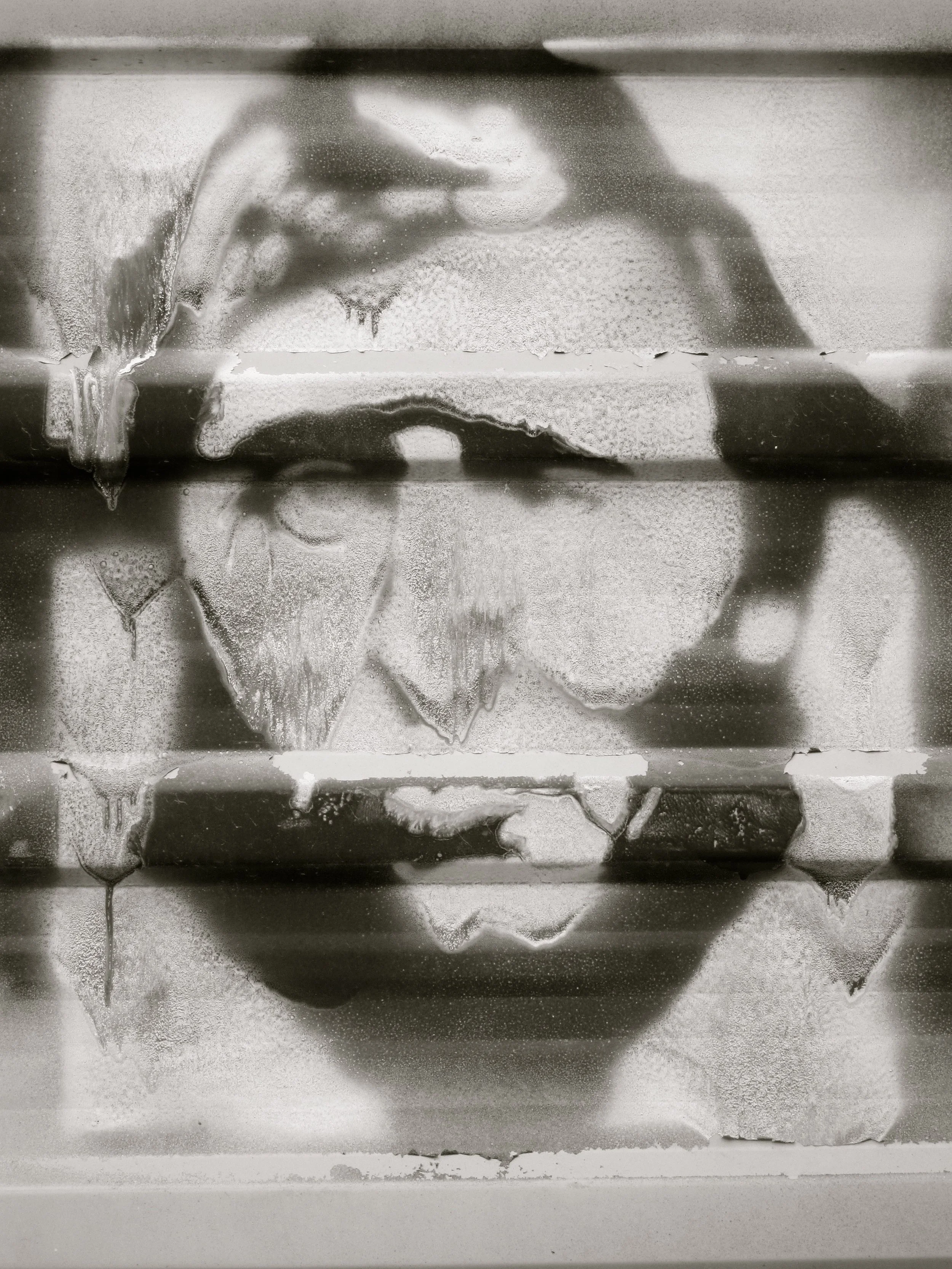 Currogated Steel Portrait