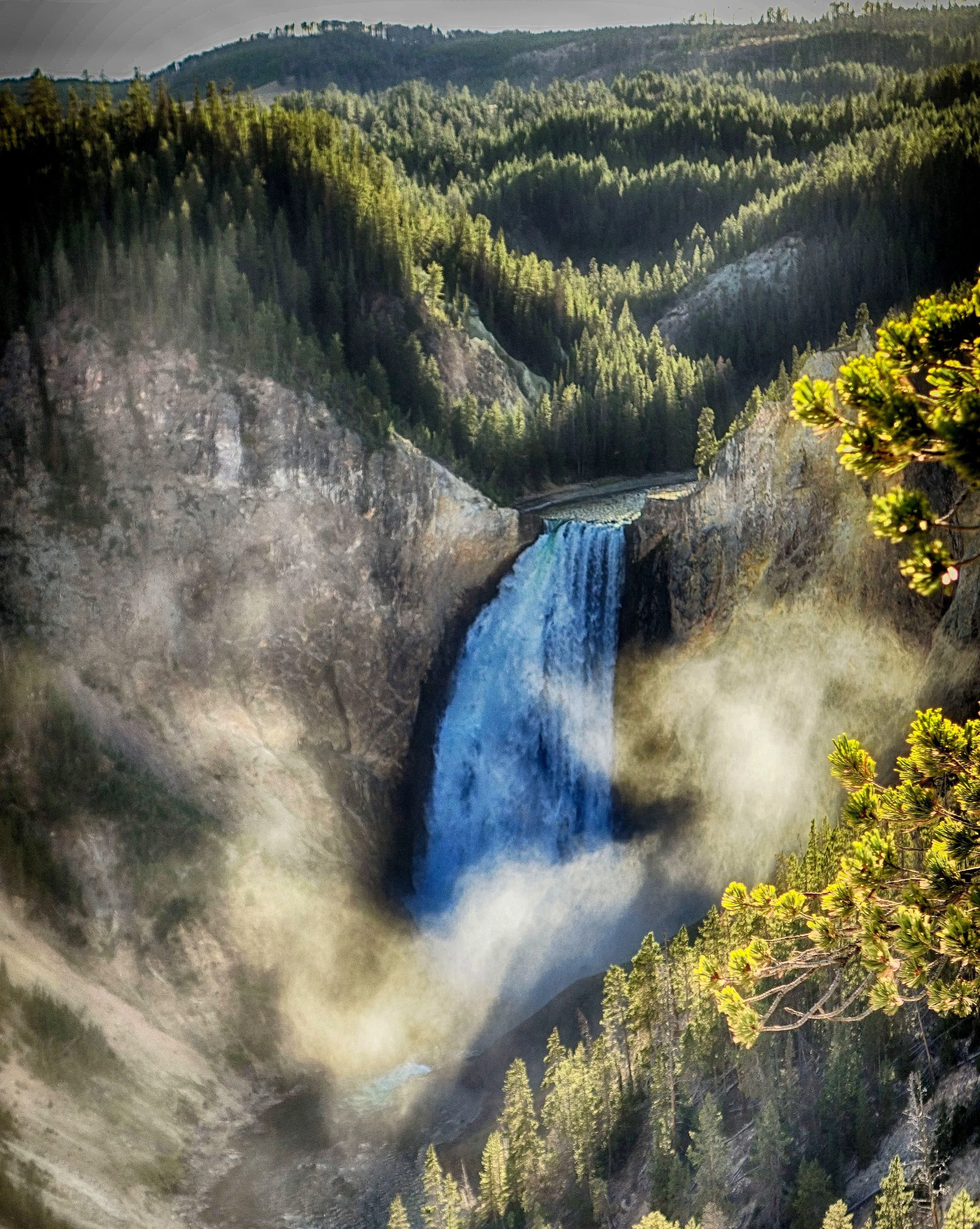 Lower Falls of Yellowstone Park's Grand Canyon