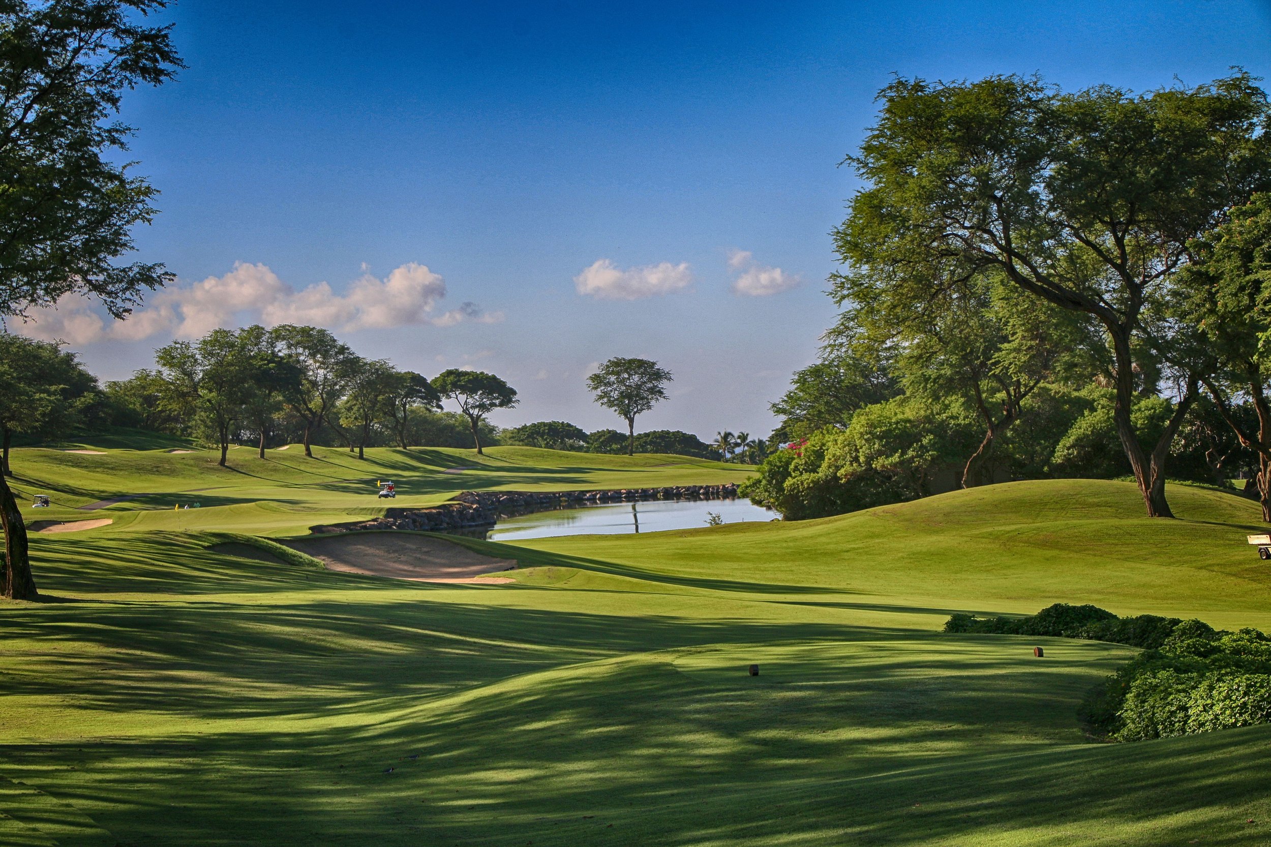 Golf Green Shadows - Waileha, Maui