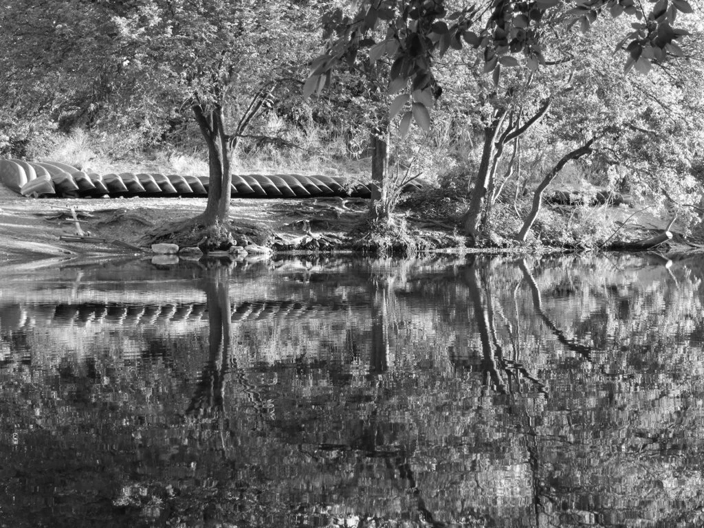 Barton Creek, Austin, TX