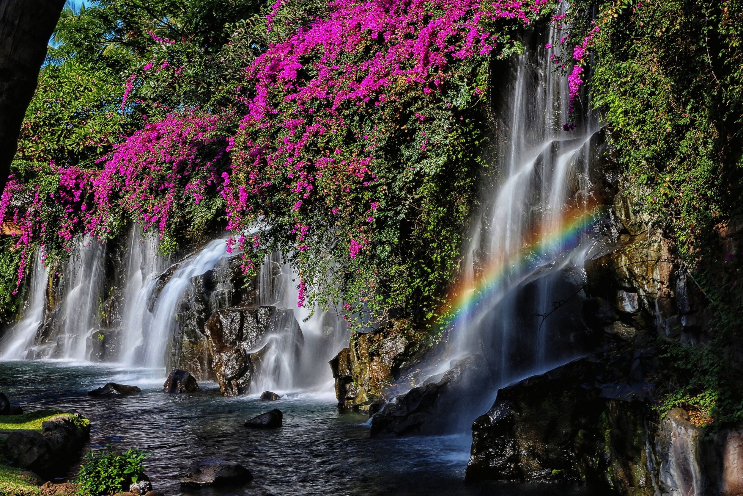 Grand Wailea Falls & Gardens, Maui, Hawaii_
