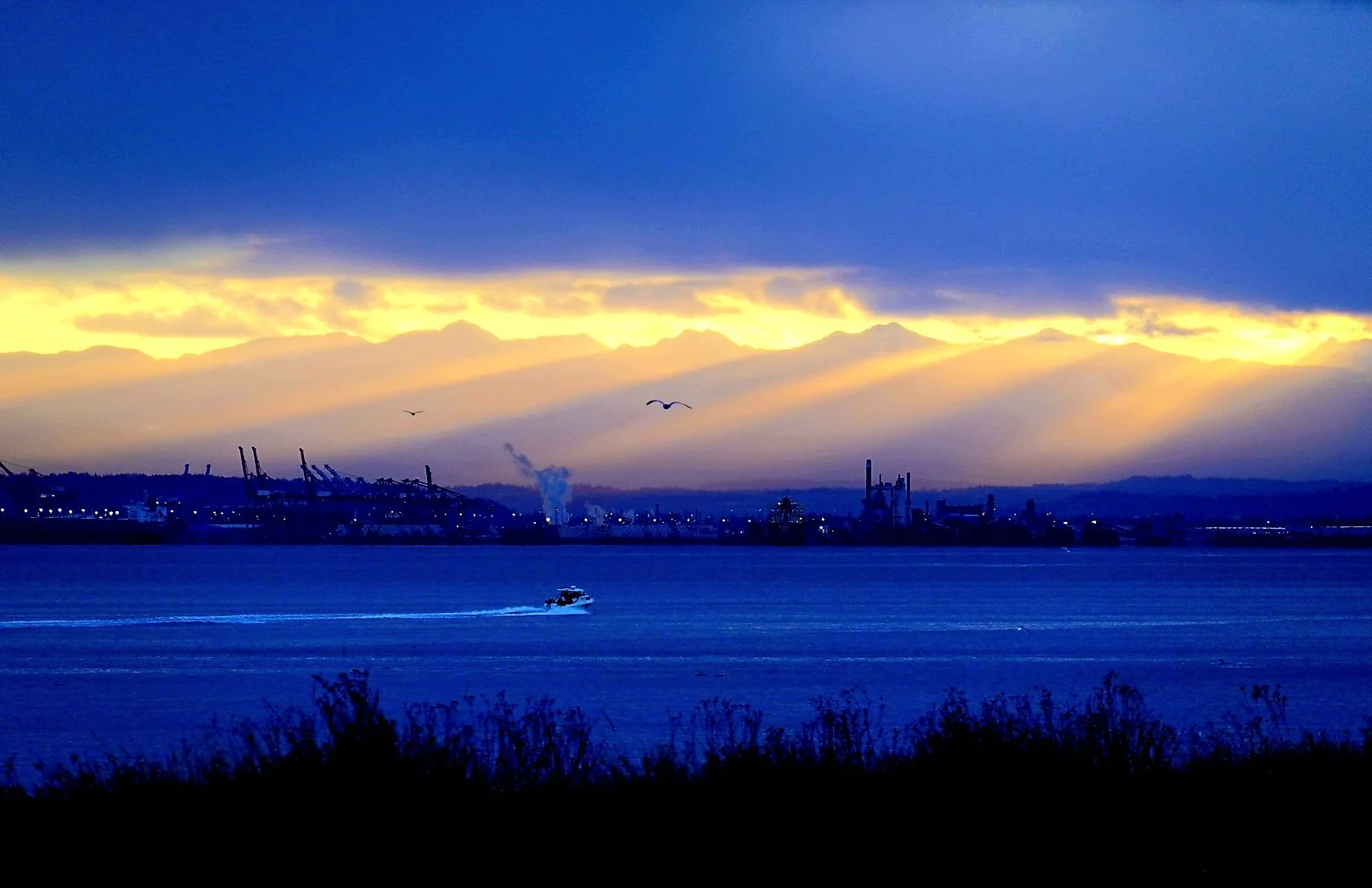 Sunrise Over Port of Tacoma - Cascade Foothills