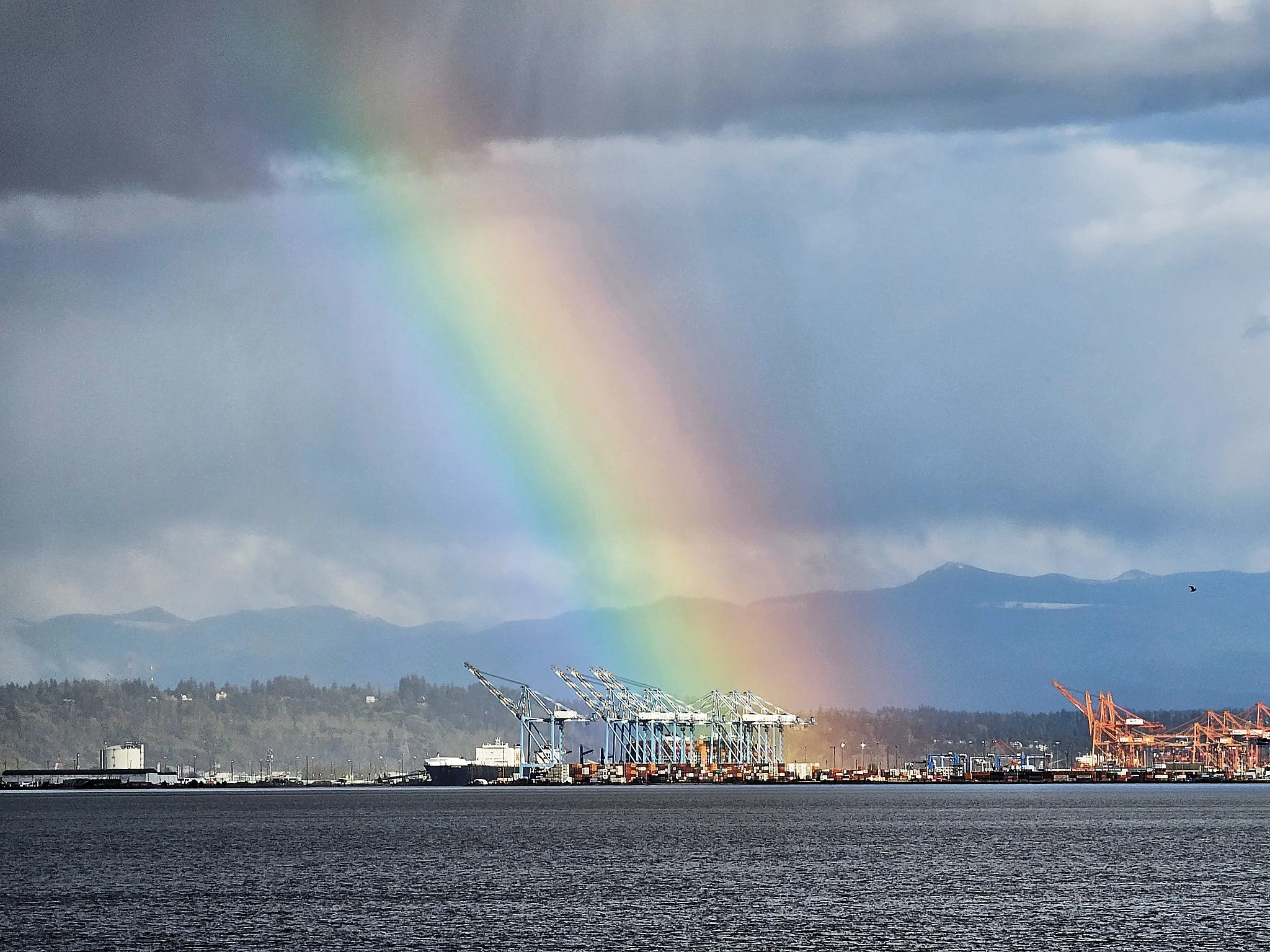 Port of Tacoma in Color