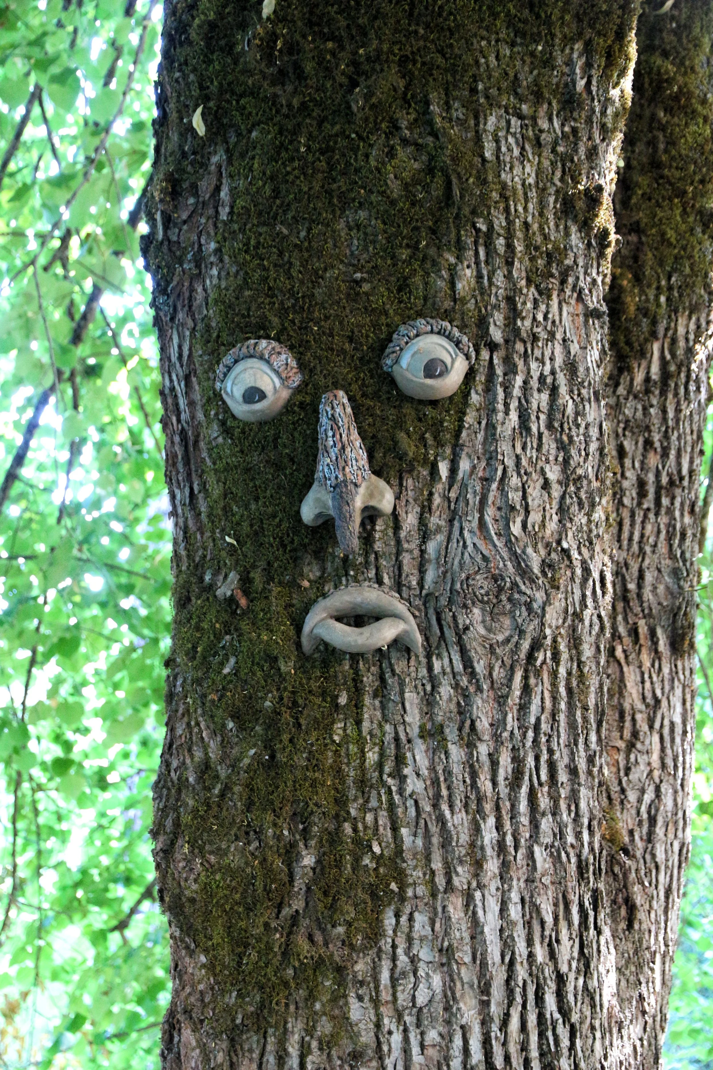 BOO!  Yes, it did catch me off guard. - Prospect, OR