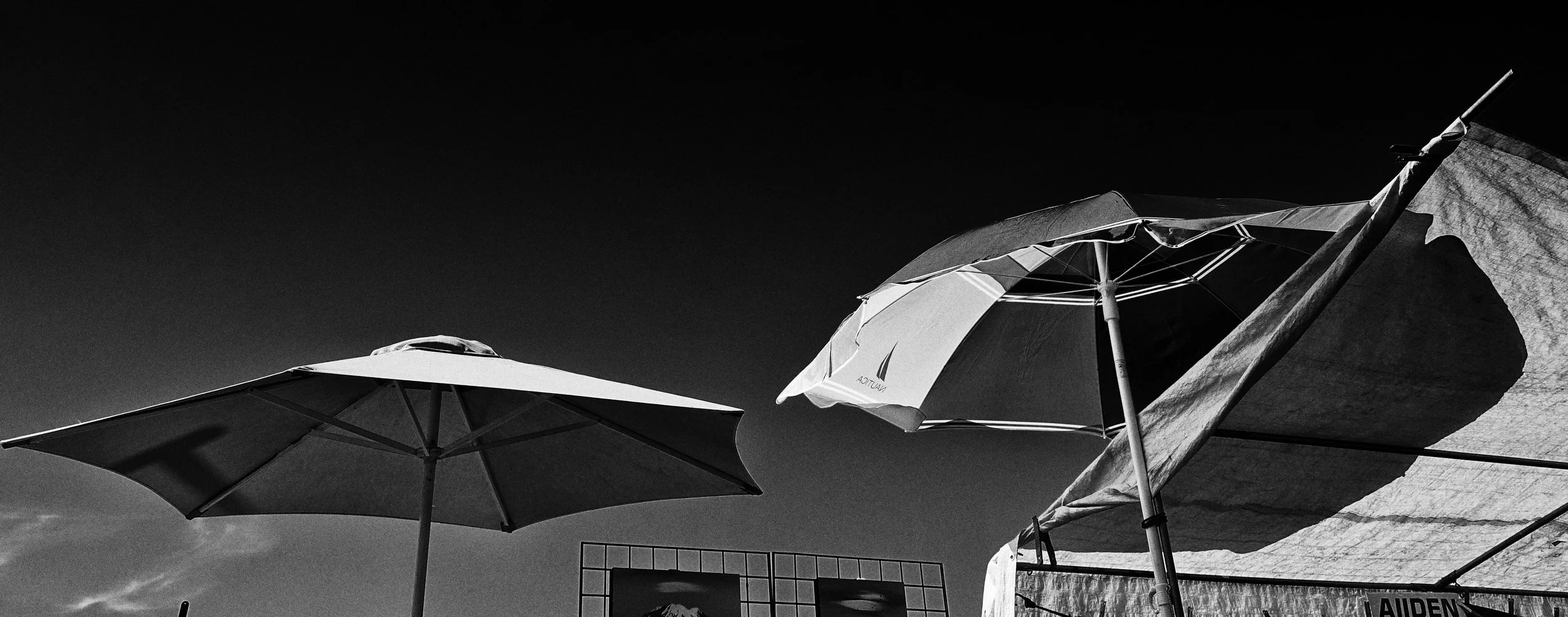 Umbrellas Seattle, WA