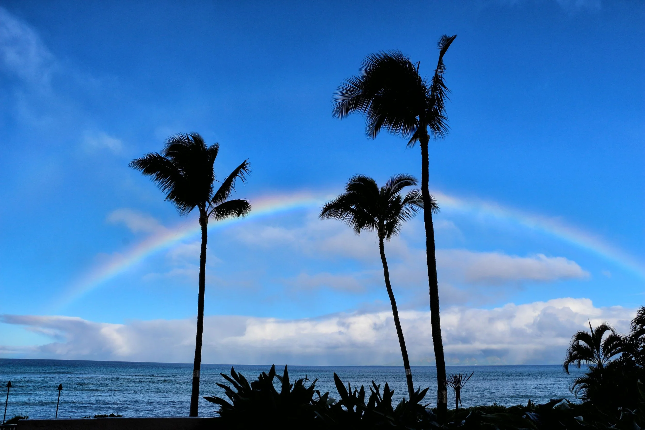 Rainbows with Breakfast - Kahana, Maui