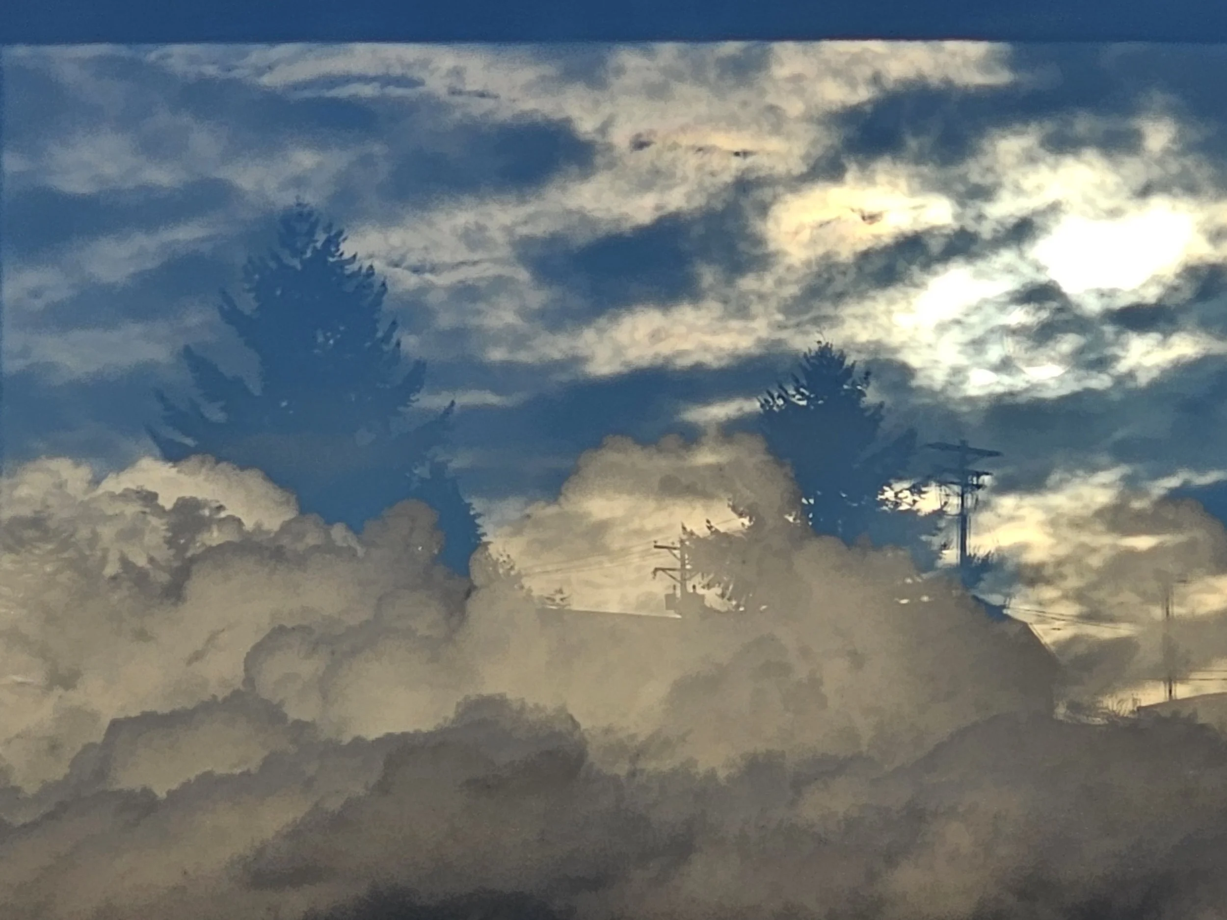 Trees, growing out of Clouds