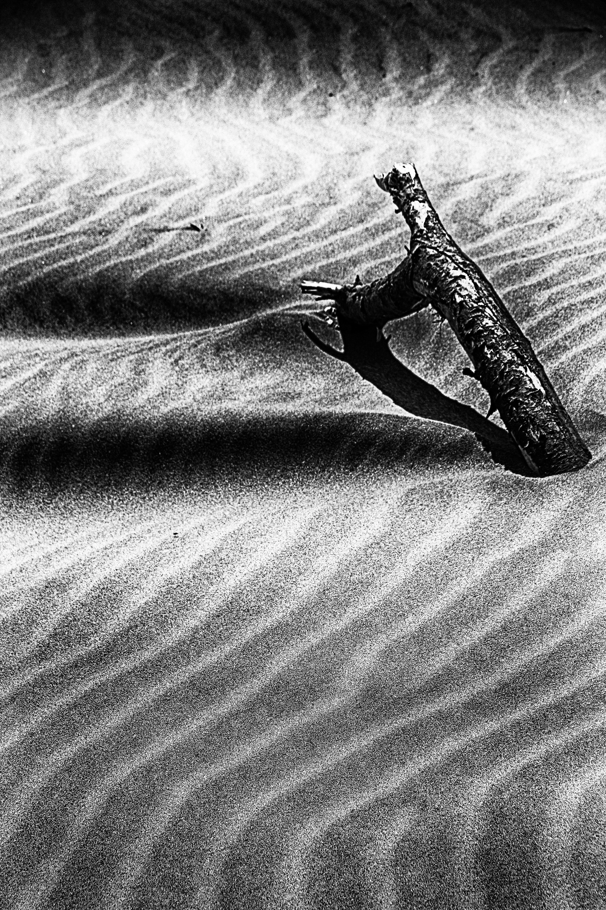 Sand Rhythms - Ocean Shores, WA