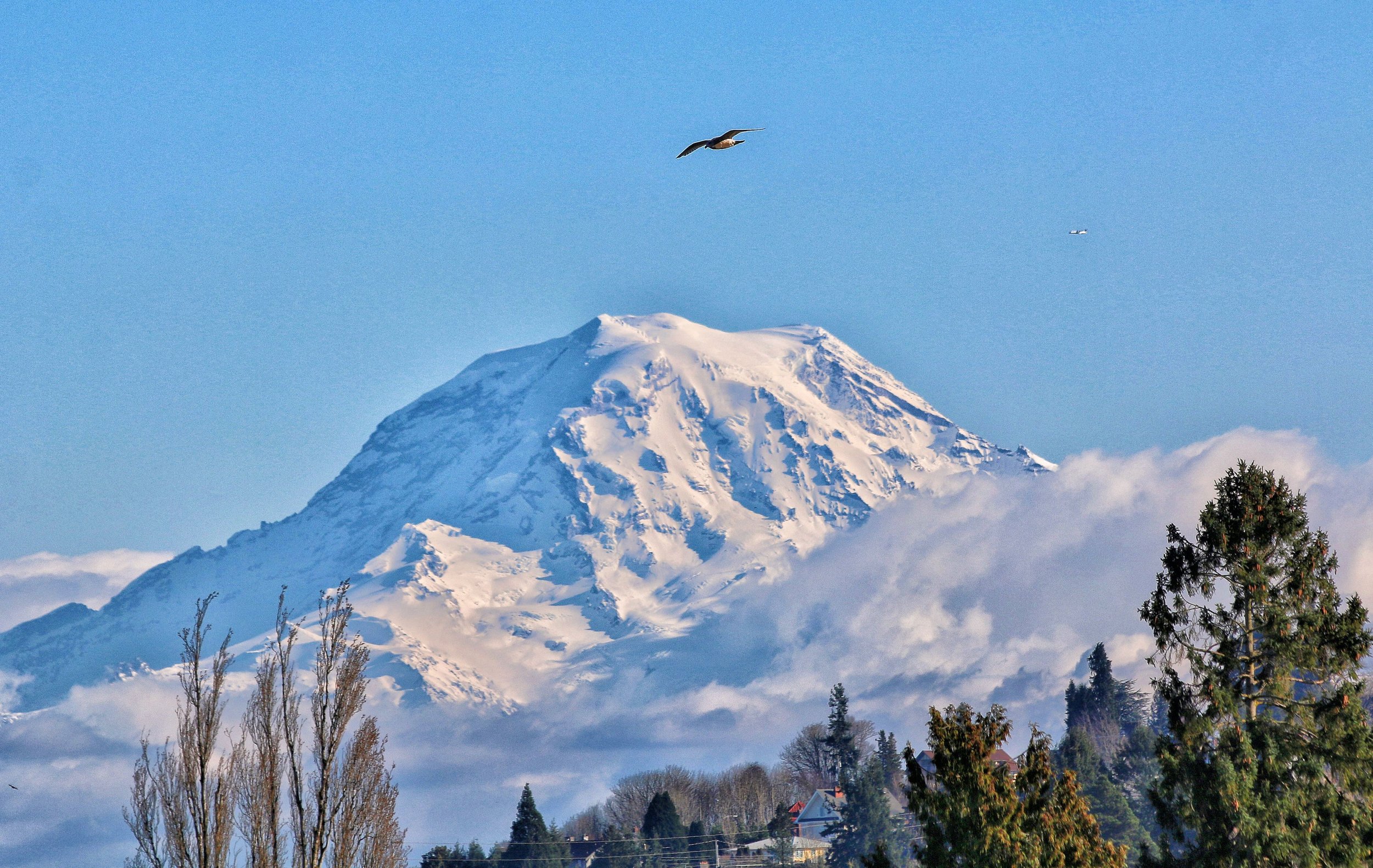 Mount Rainier