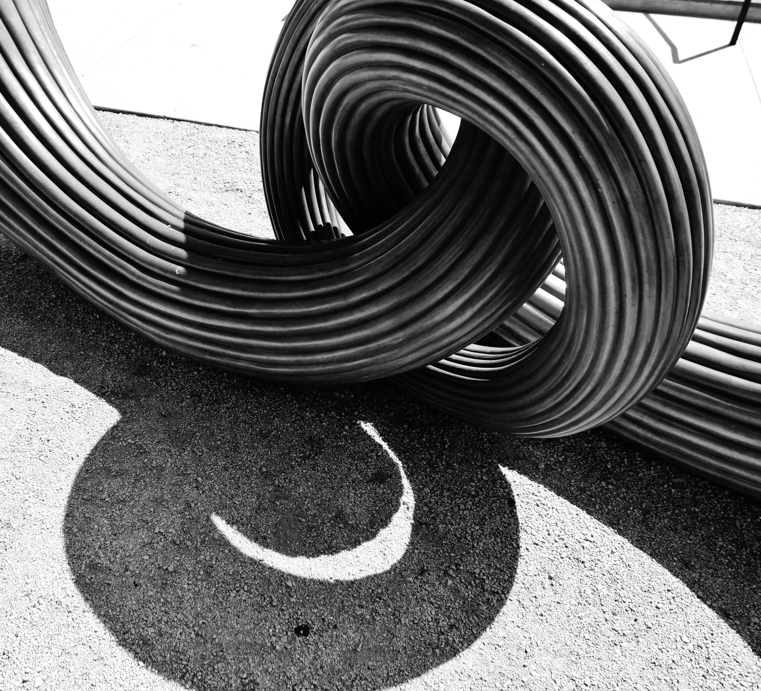 Adversity's Smile - Park, Austin, TX