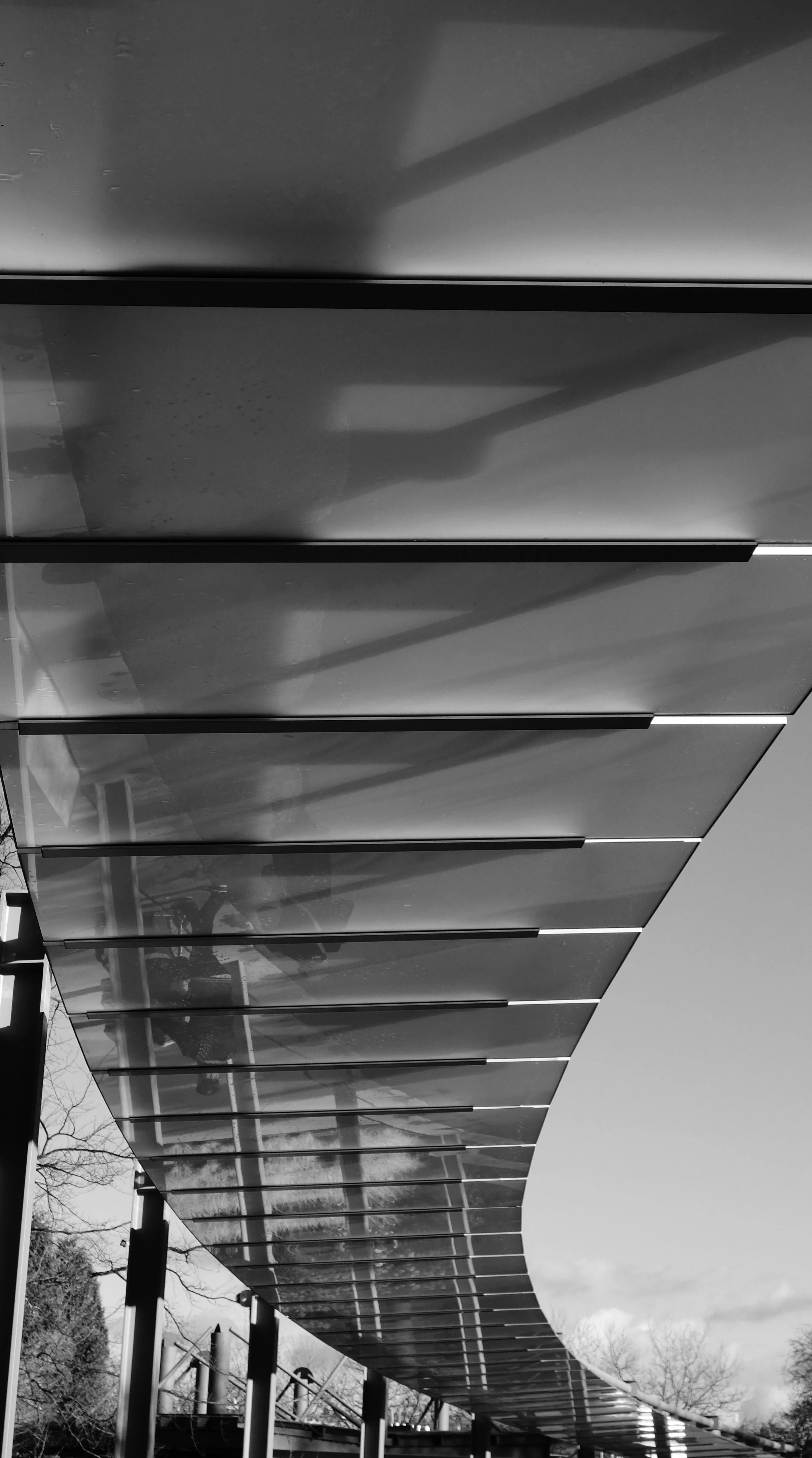 Coming or Going? - Seattle Space Needle