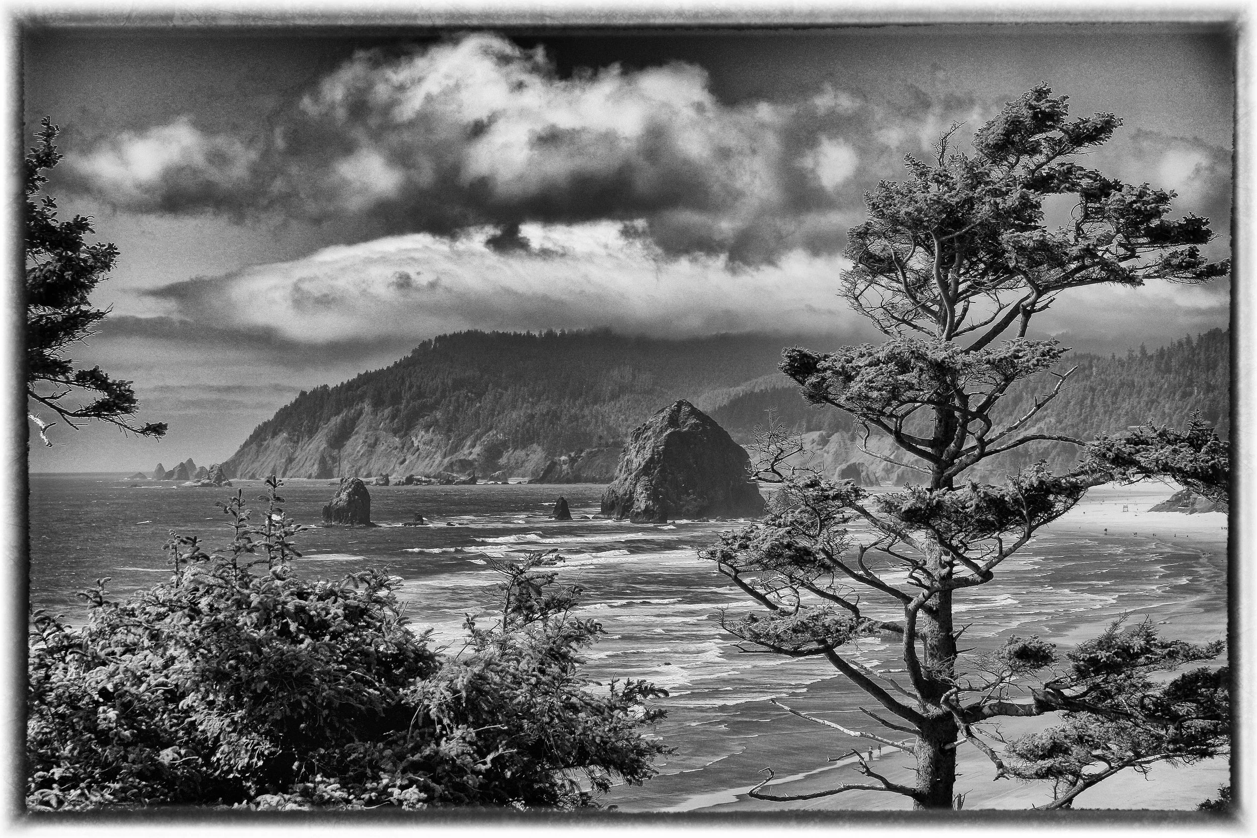 Ecola Point, Cannon Beach, Oregon Coast