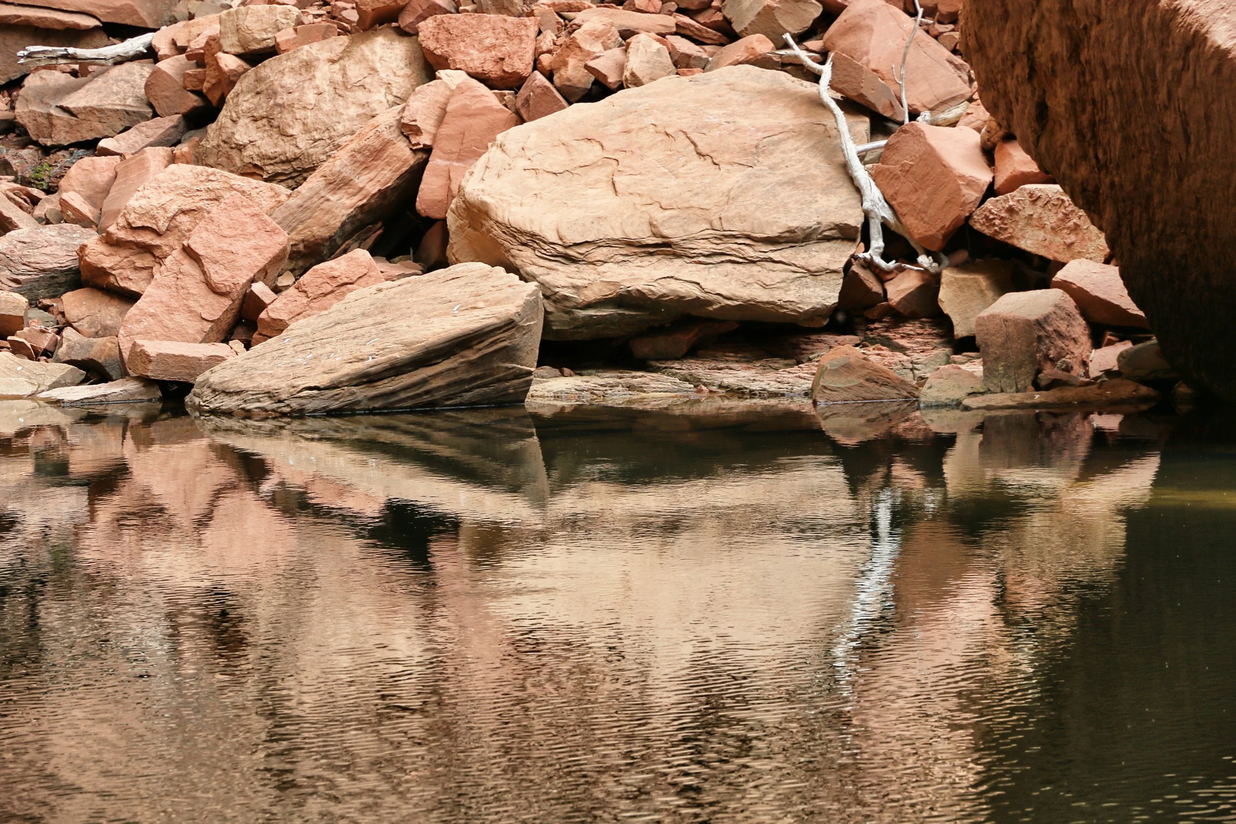 Wood, Rock, Water - Zion Nat'l Park