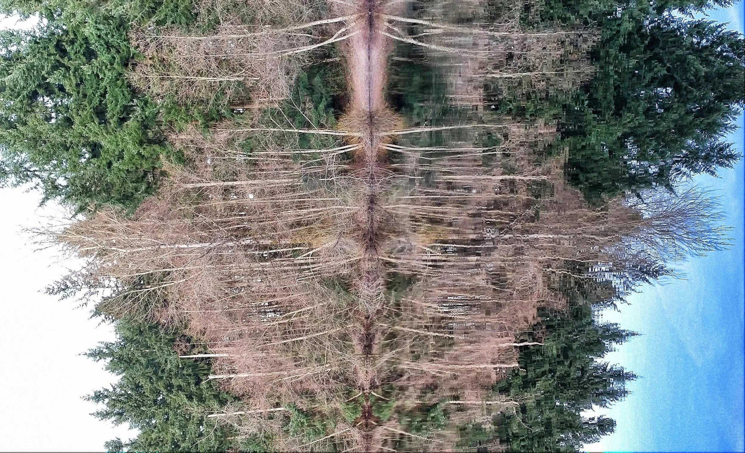 Earth/Sky Seam - Puyallup, WA