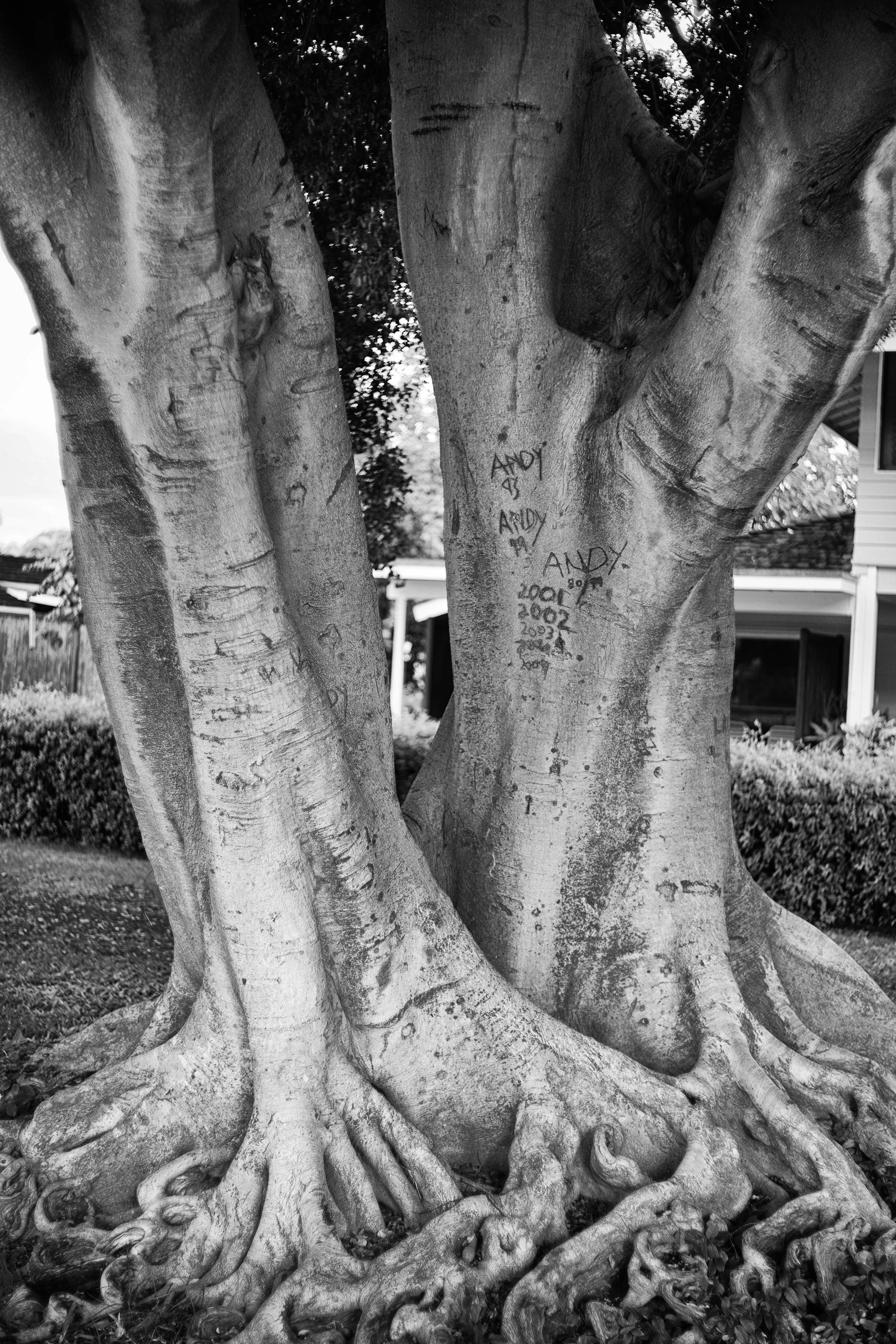 A Cute Older Couple_