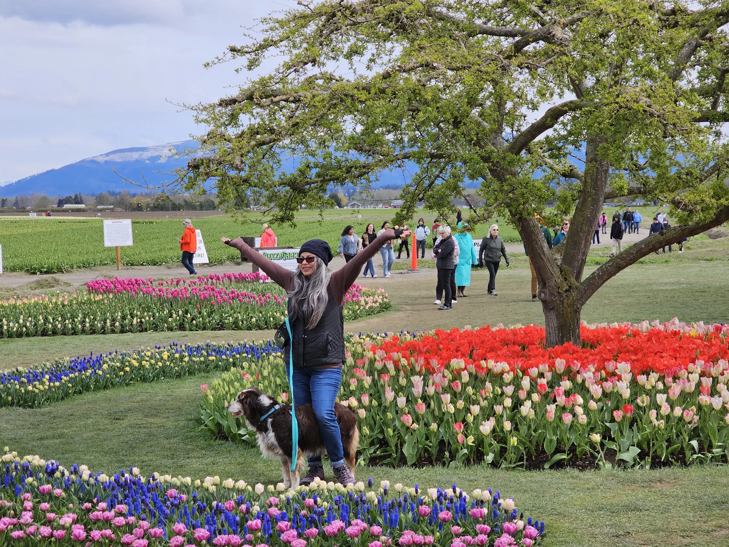 Overjoyed at Tulip Festival - LaConner, WA