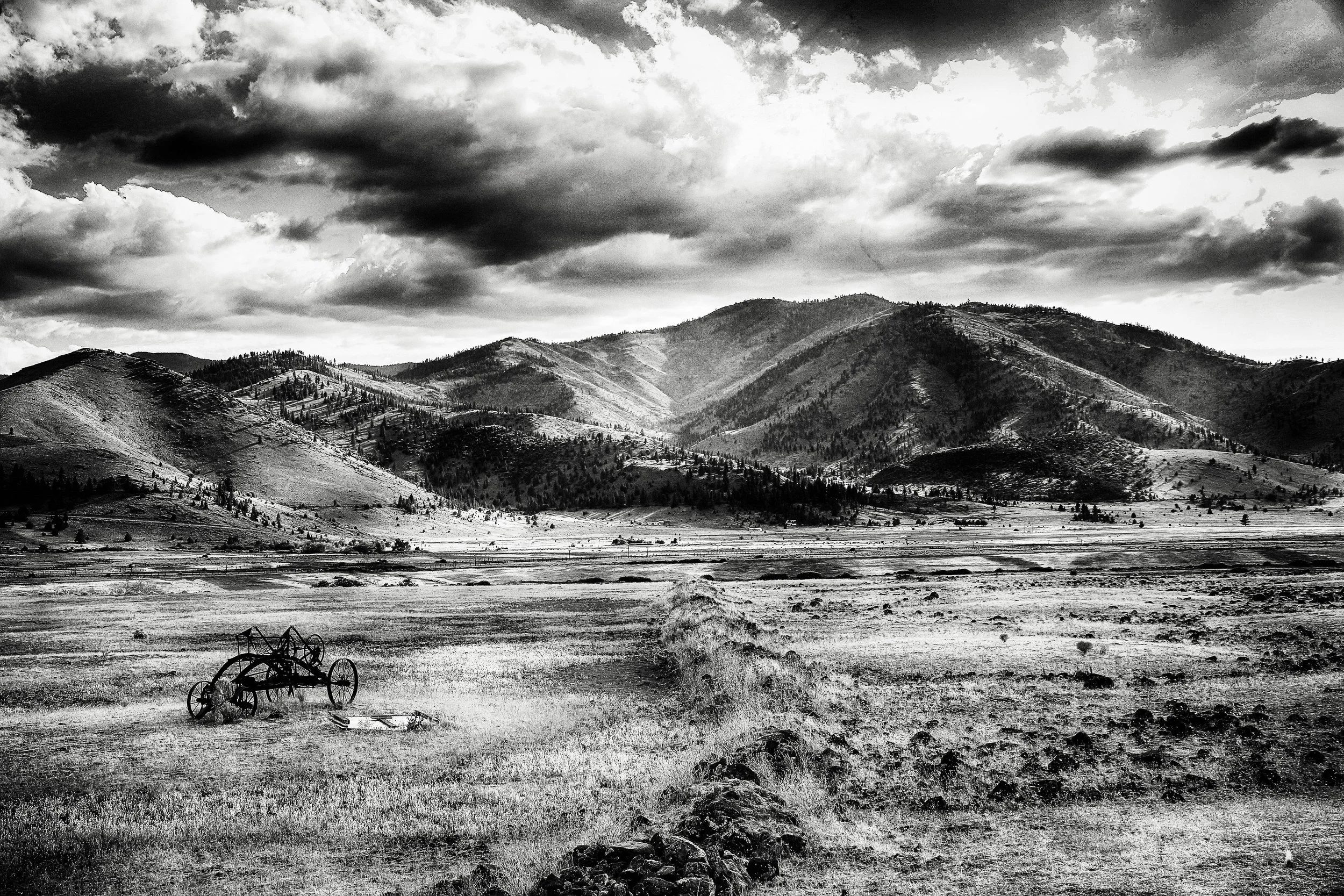 In Honor of World Photo Day - Aug. 19, 2026
Weed, CA