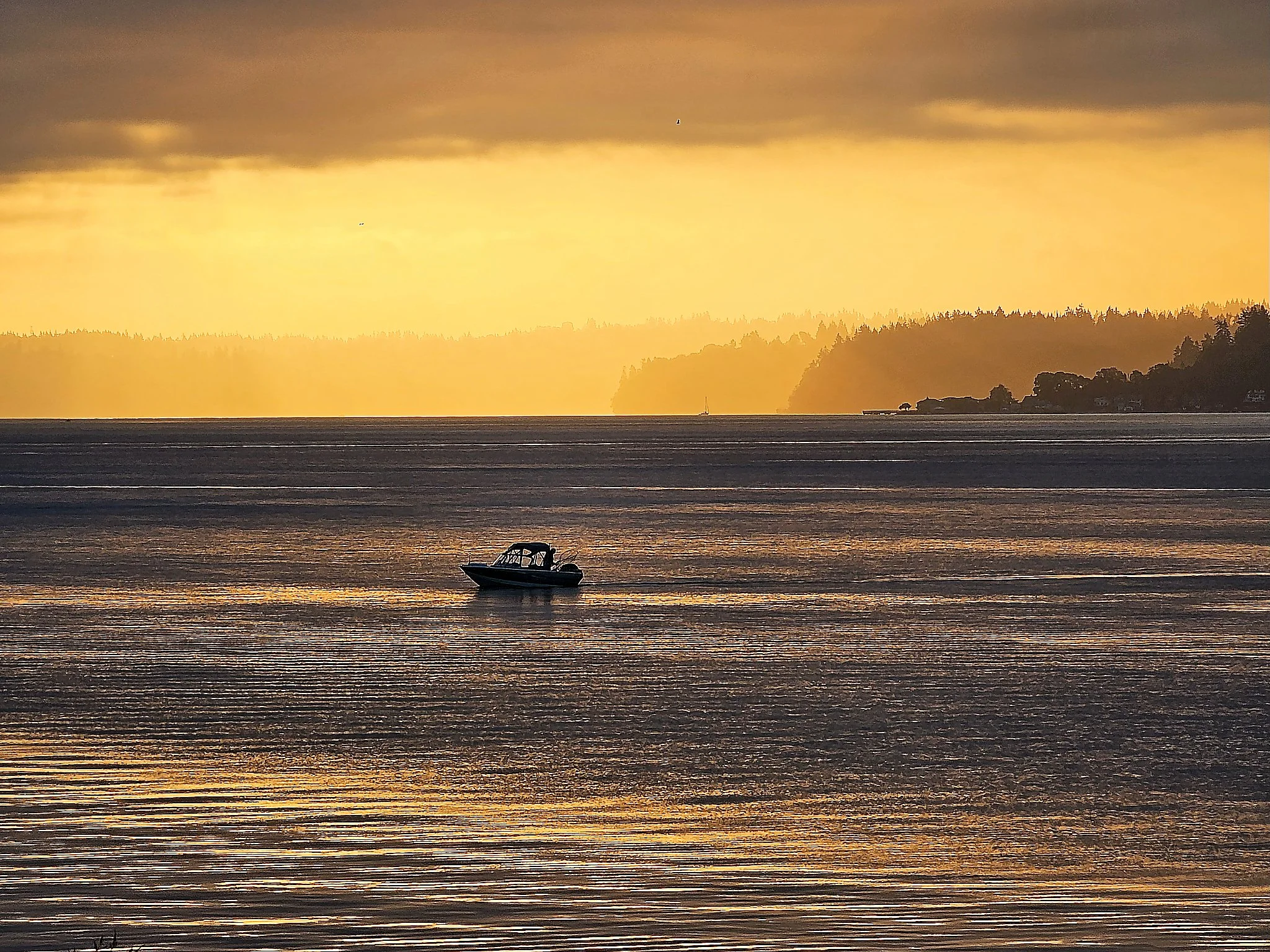 Dawn Fishing, Commencement Bay