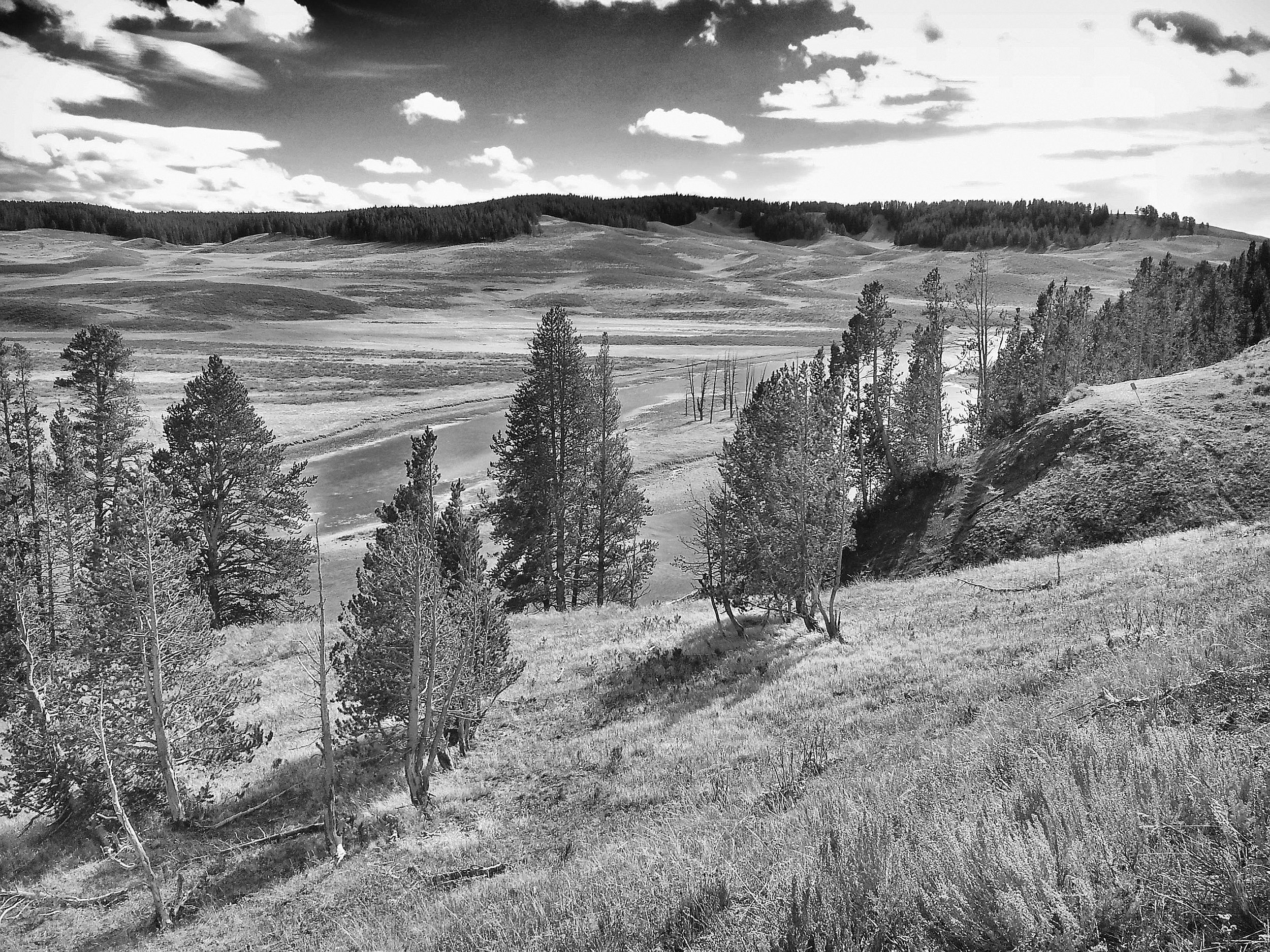 Hayden Valley - Yellowstone Nat'l Park
