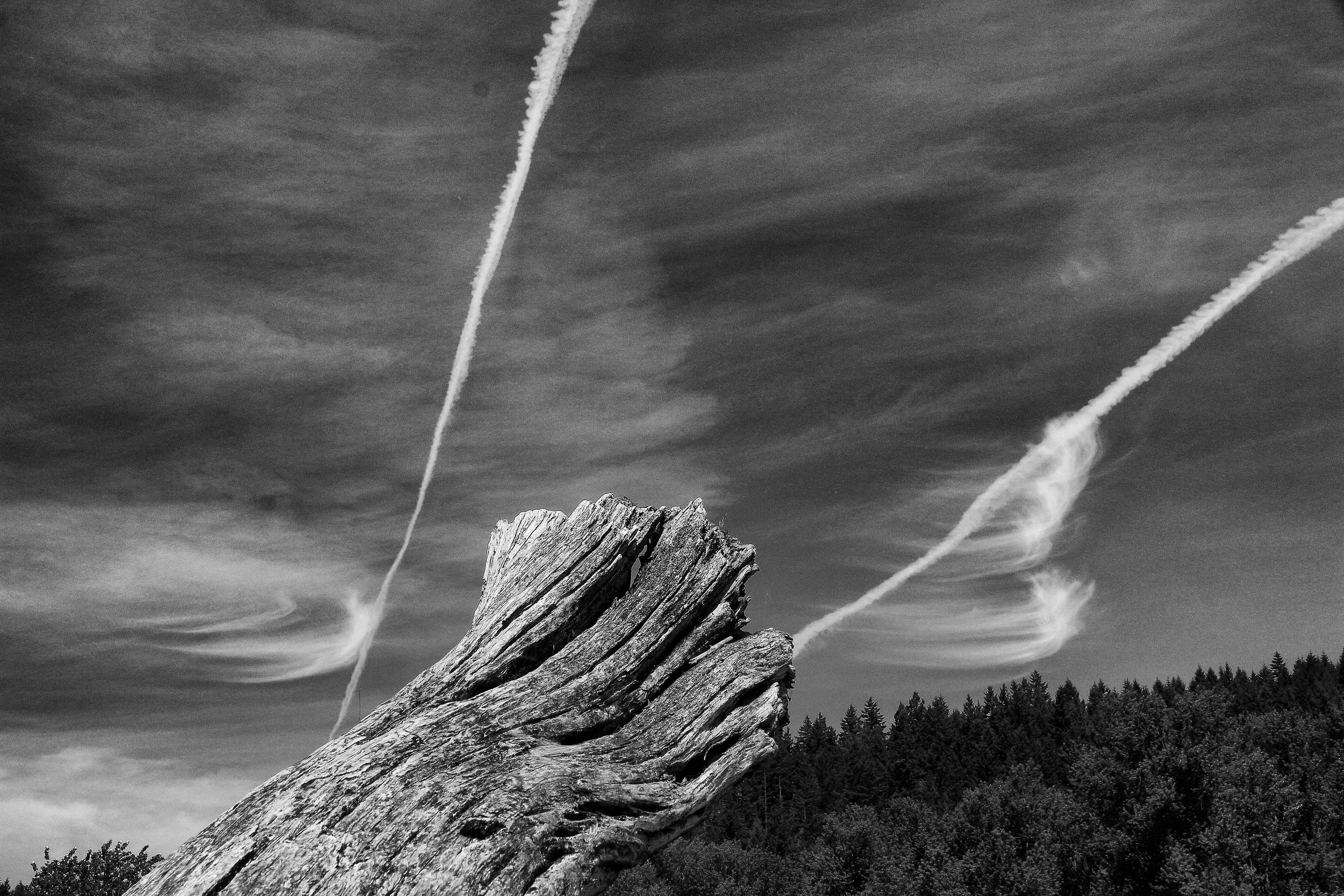 Driftwood & Clouds - Carbon River, WA