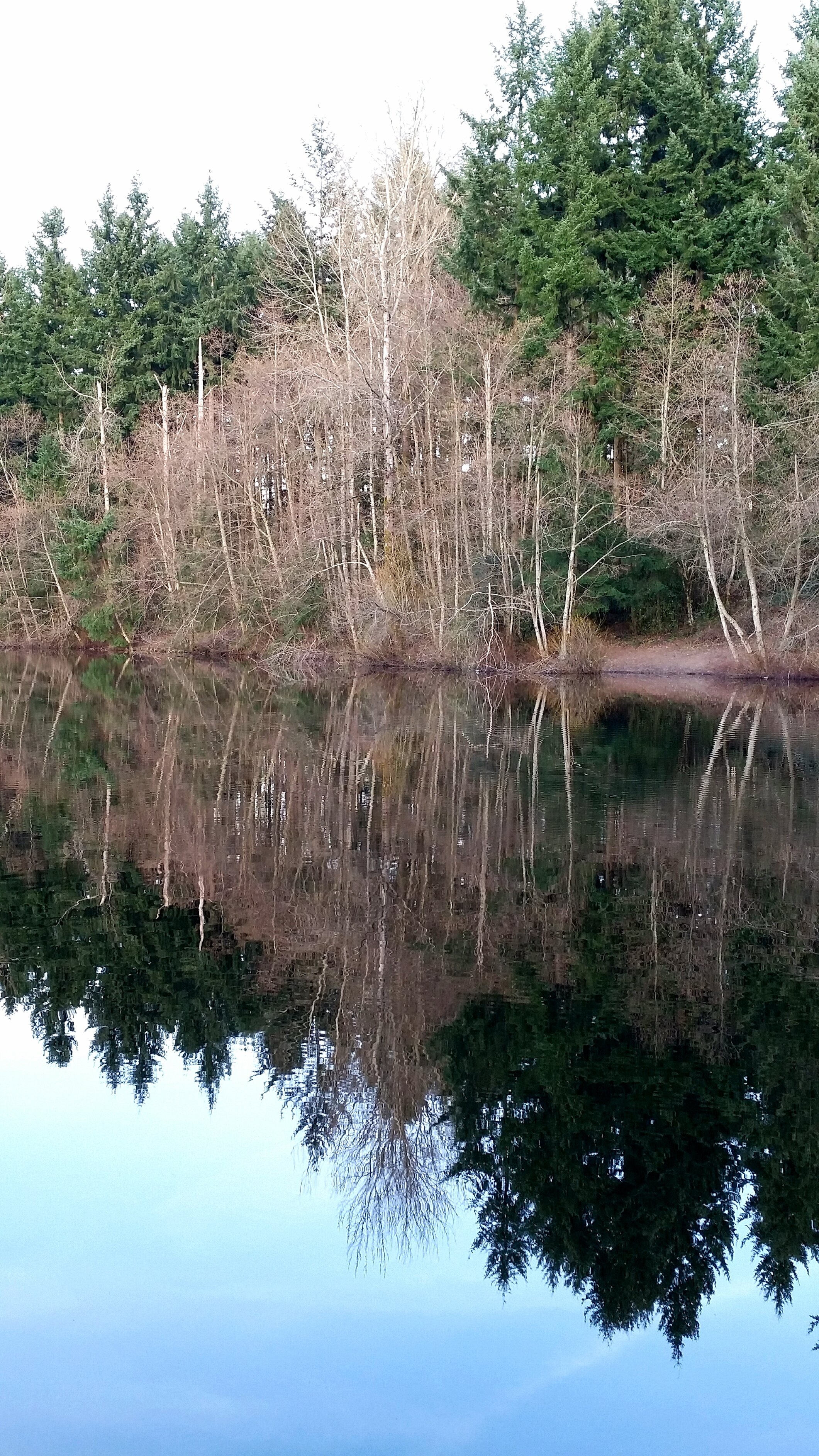 A Walk Around the Lake