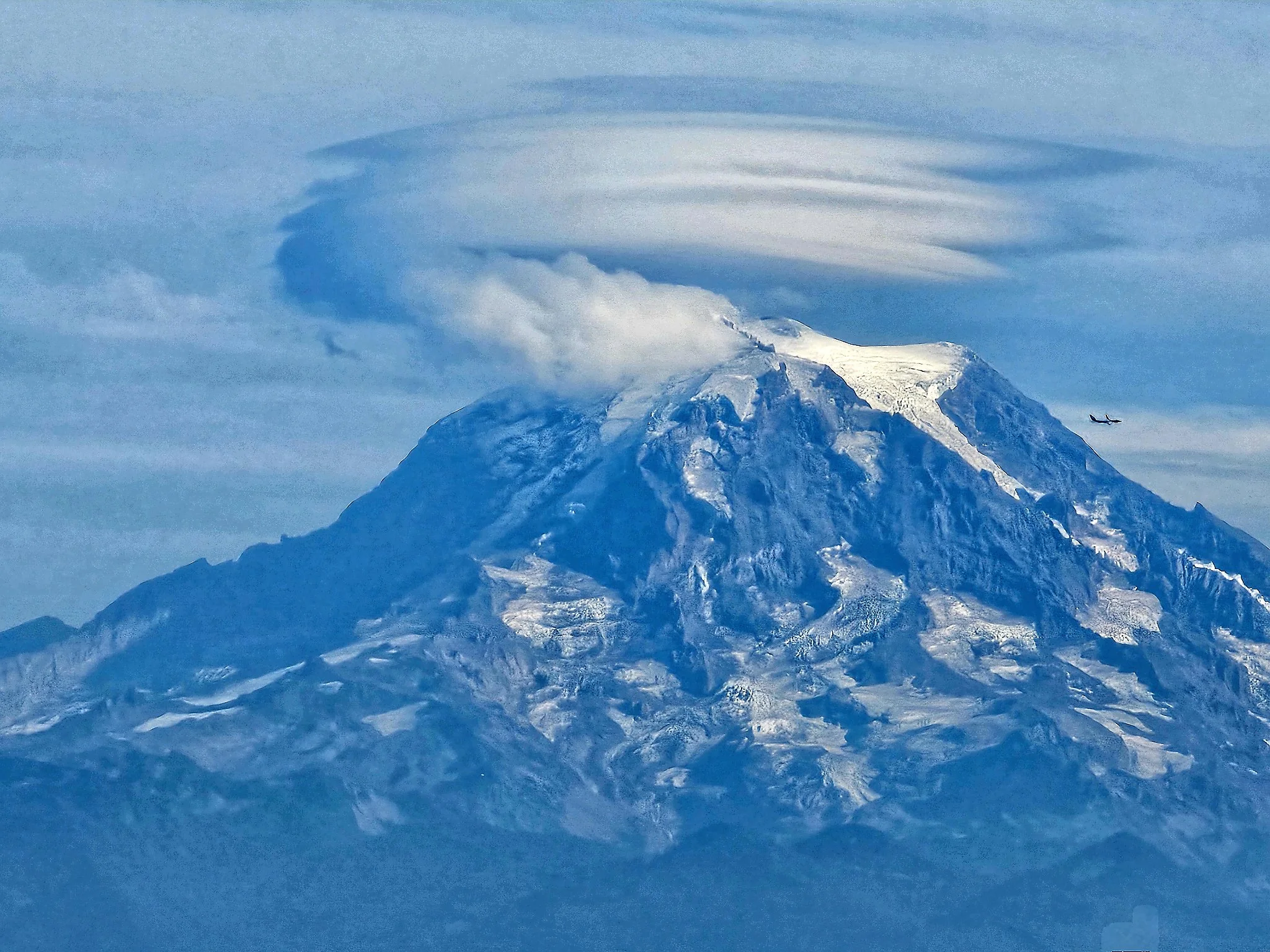 Mt. Rainier Flourish
