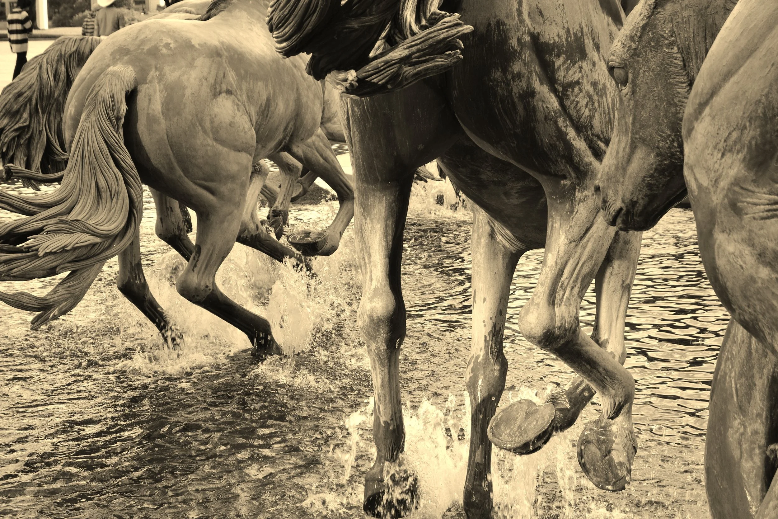 Mustangs of Las Colinas - Irving, TX
