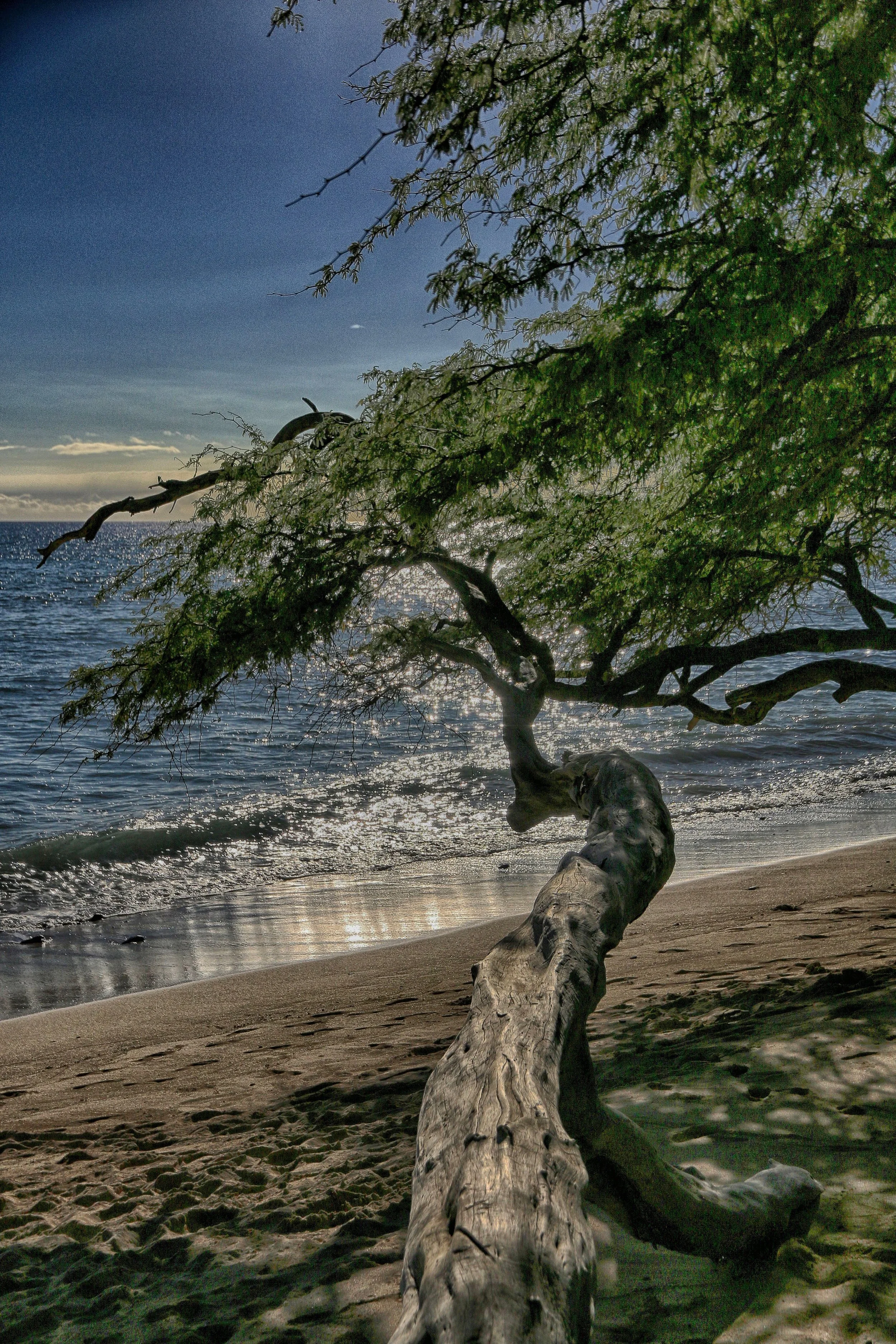 Papalua Beach - Maui_