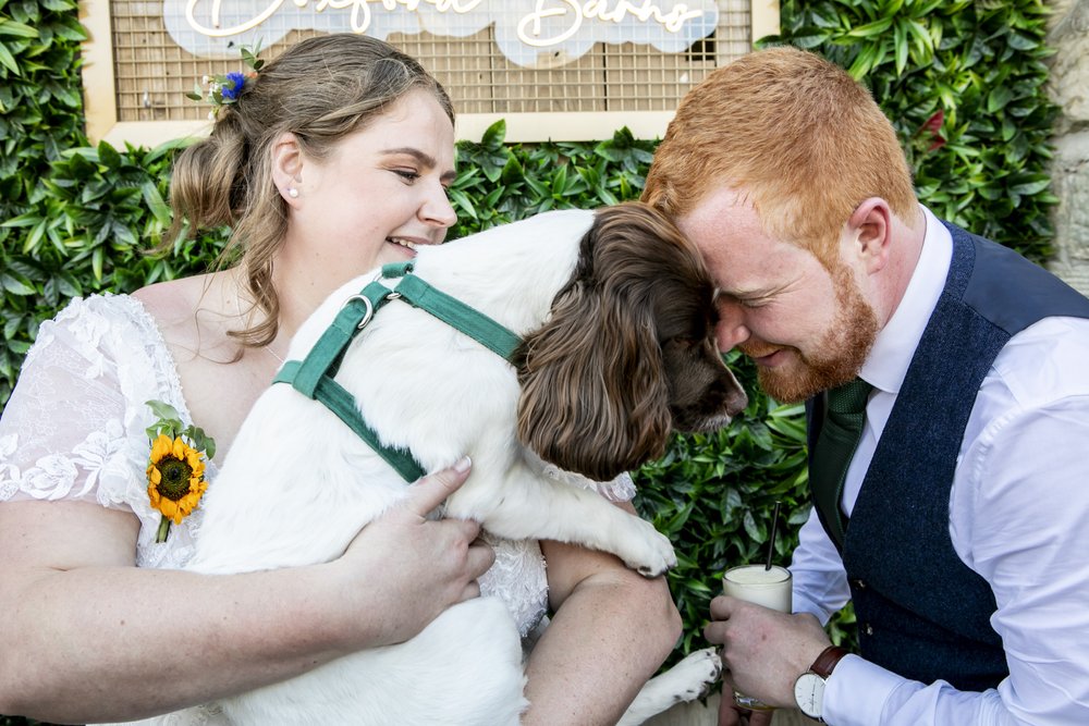 Pets at weddings (11).jpg