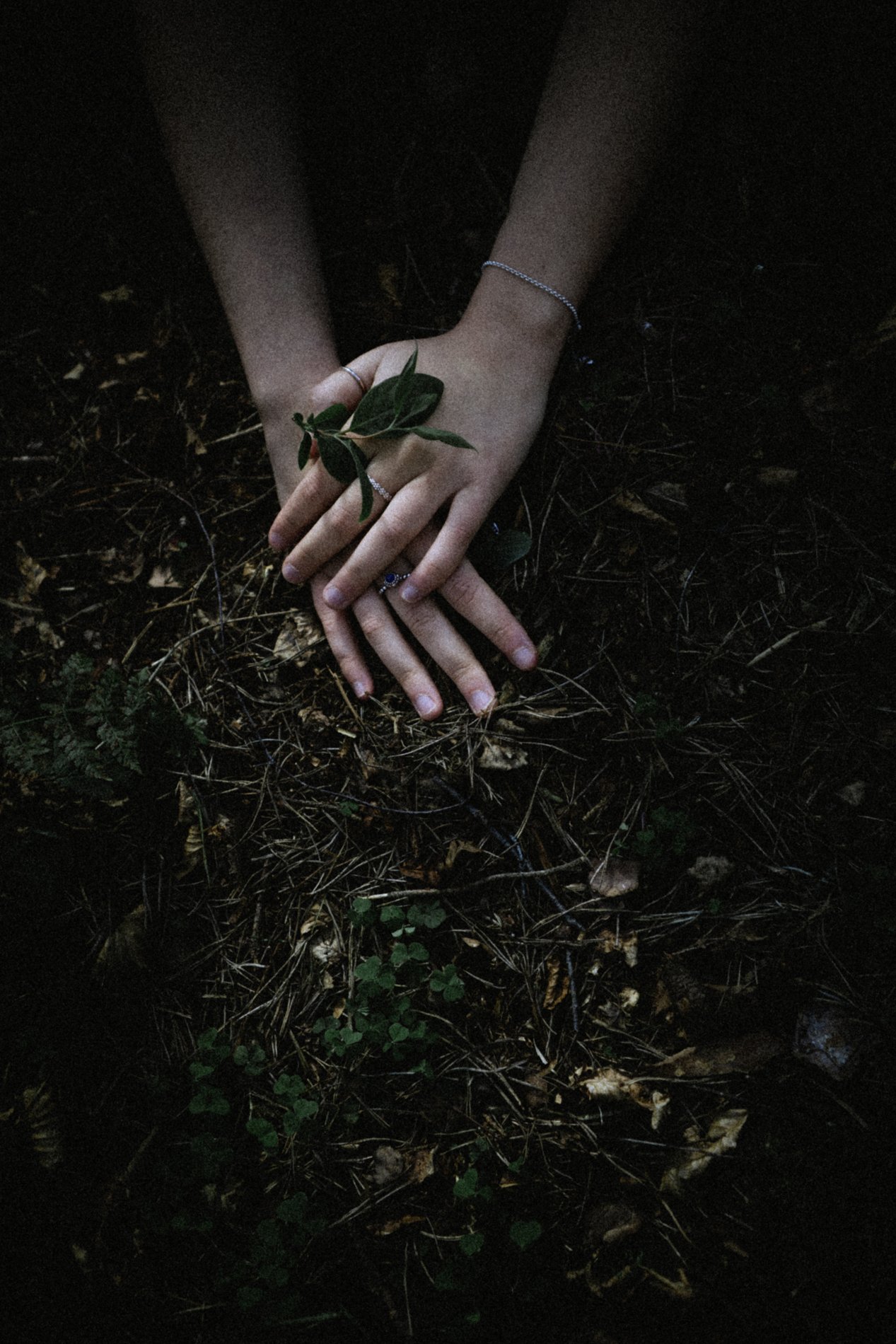 Hands with jewelry and a leaf over dark forest ground with small plants and twigs.