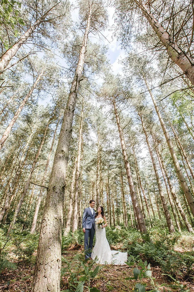 A bride and groom standing in a dense forest of tall trees under a bright, partly cloudy sky. Healey Barn wedding photograph